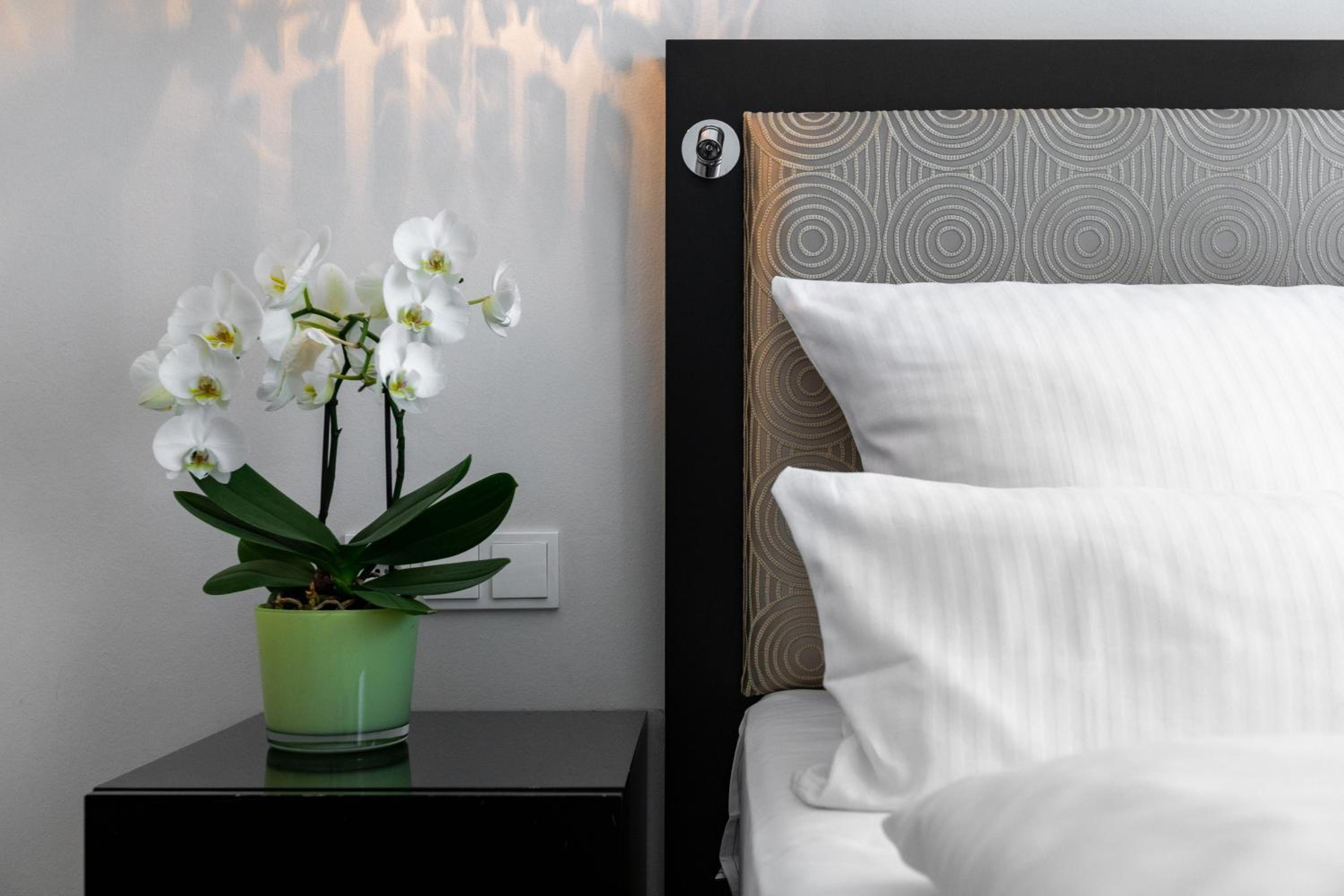 Superior Double Room thumbnail 6
