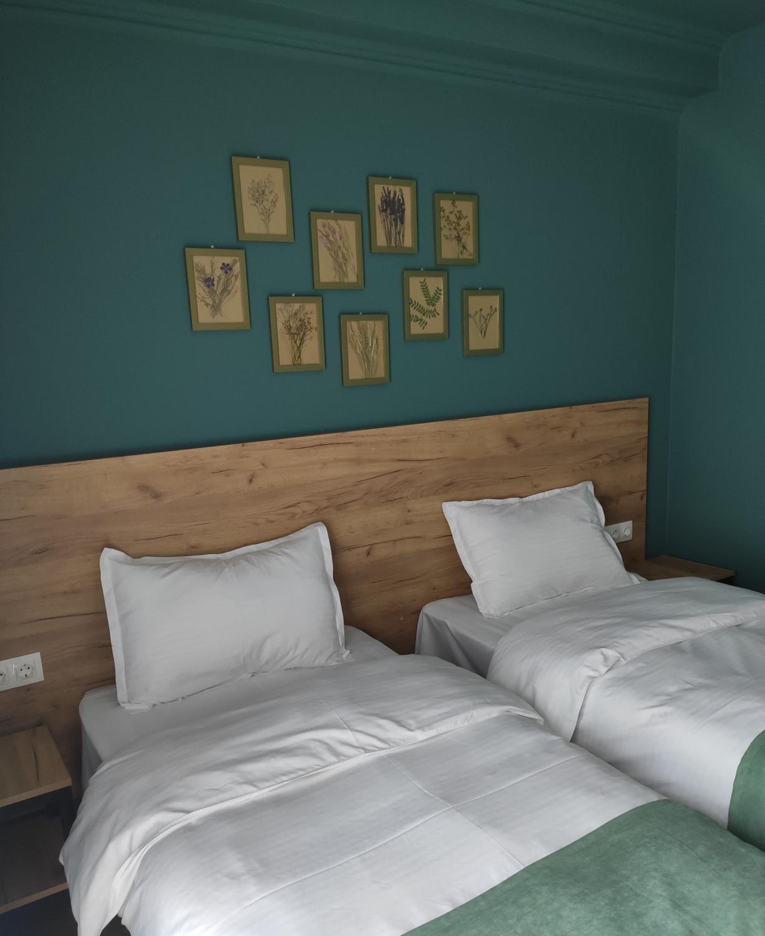 Twin Room with Back Mountain View - Photo 1