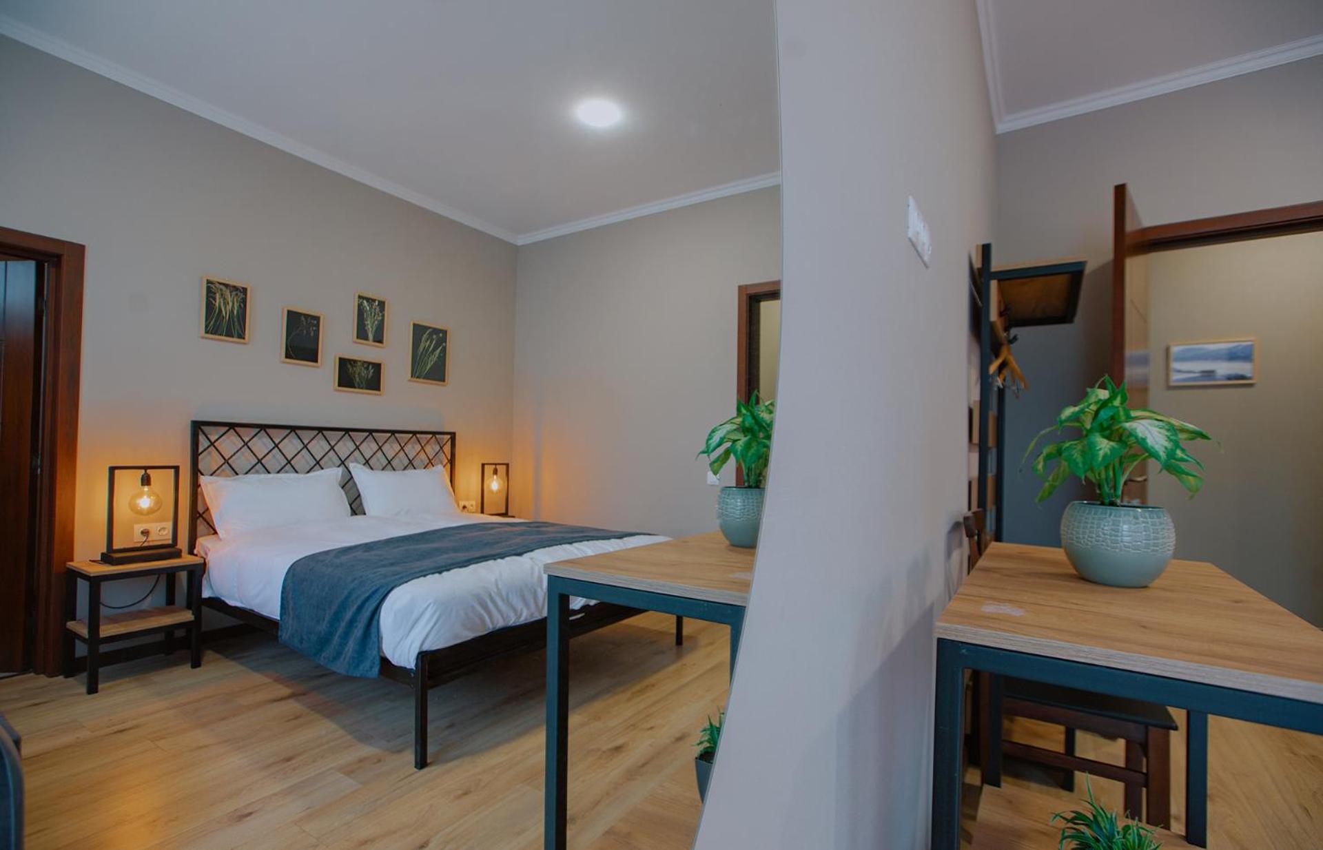 Double Room with Mountain View photo 2