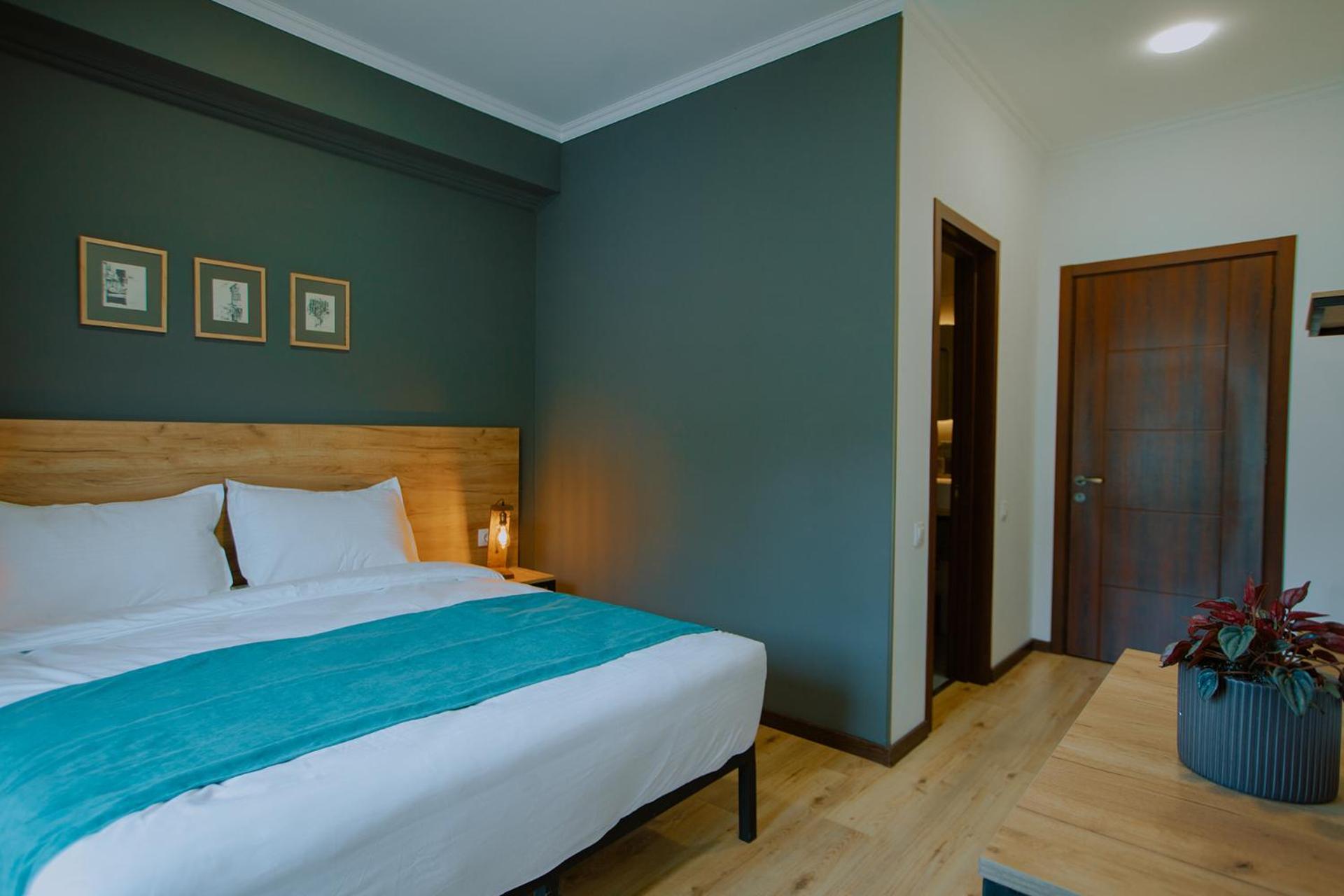 Double Room with Back Mountain View  photo 2