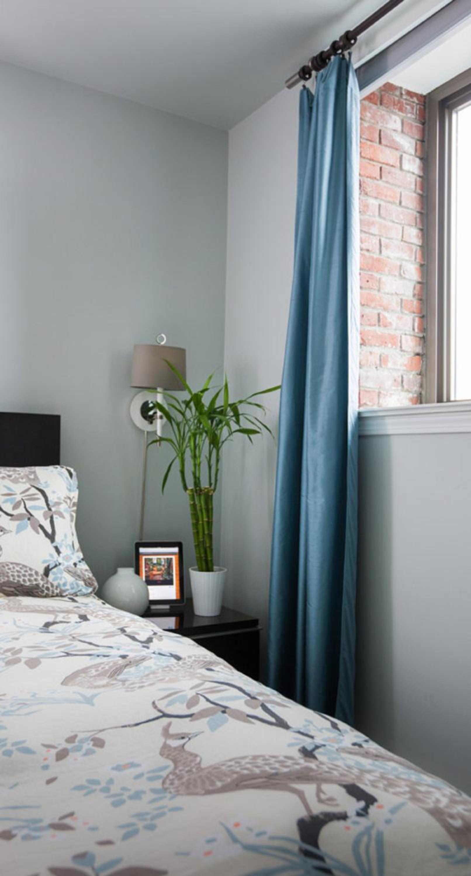 Deluxe Queen Room photo 2