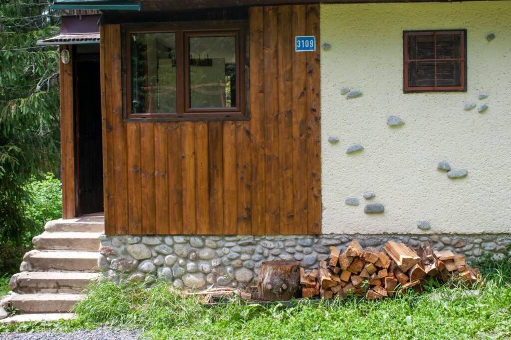 Three-Bedroom Chalet photo 3