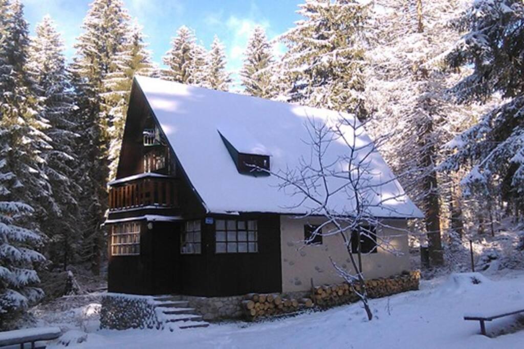 Three-Bedroom Chalet photo 2