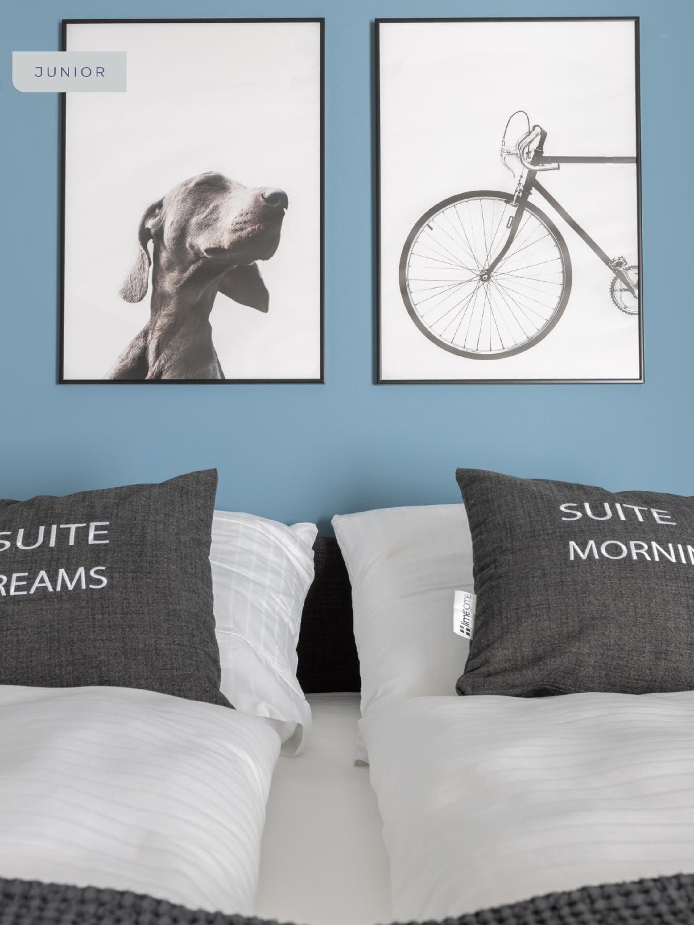 Junior Suite photo 2