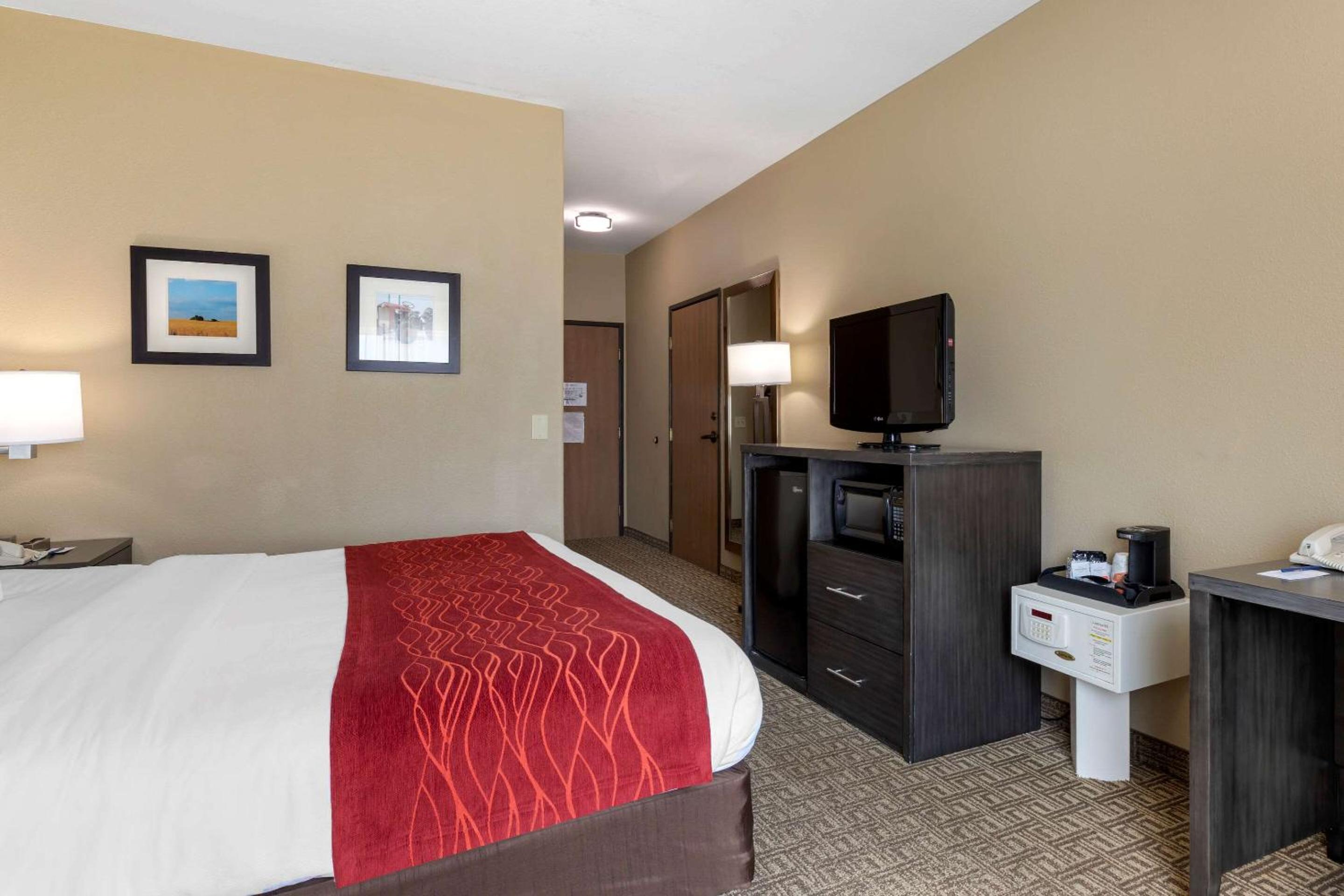 King Room - Accessible/Non-Smoking - Photo 4