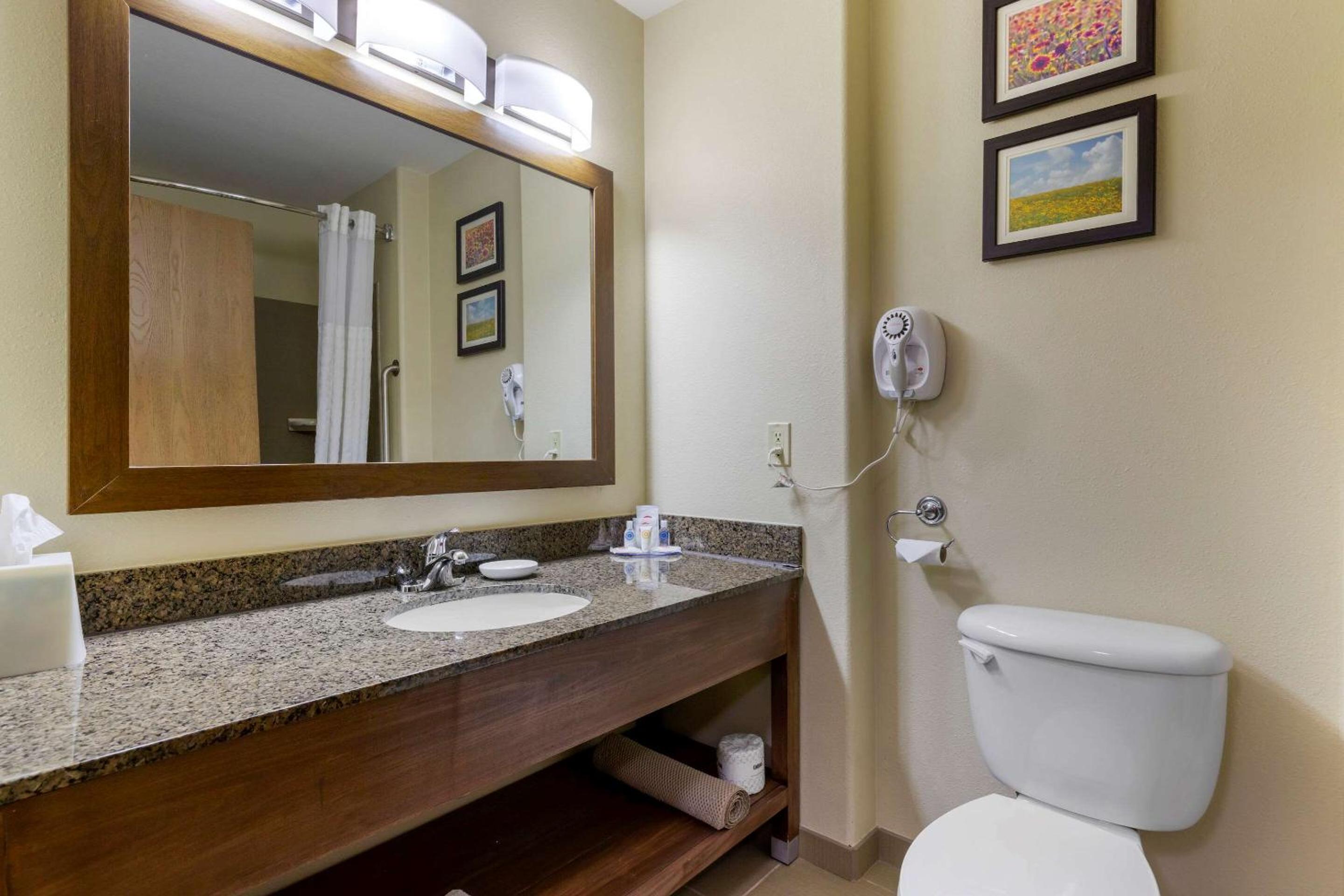 King Suite - Non-Smoking - Photo 6