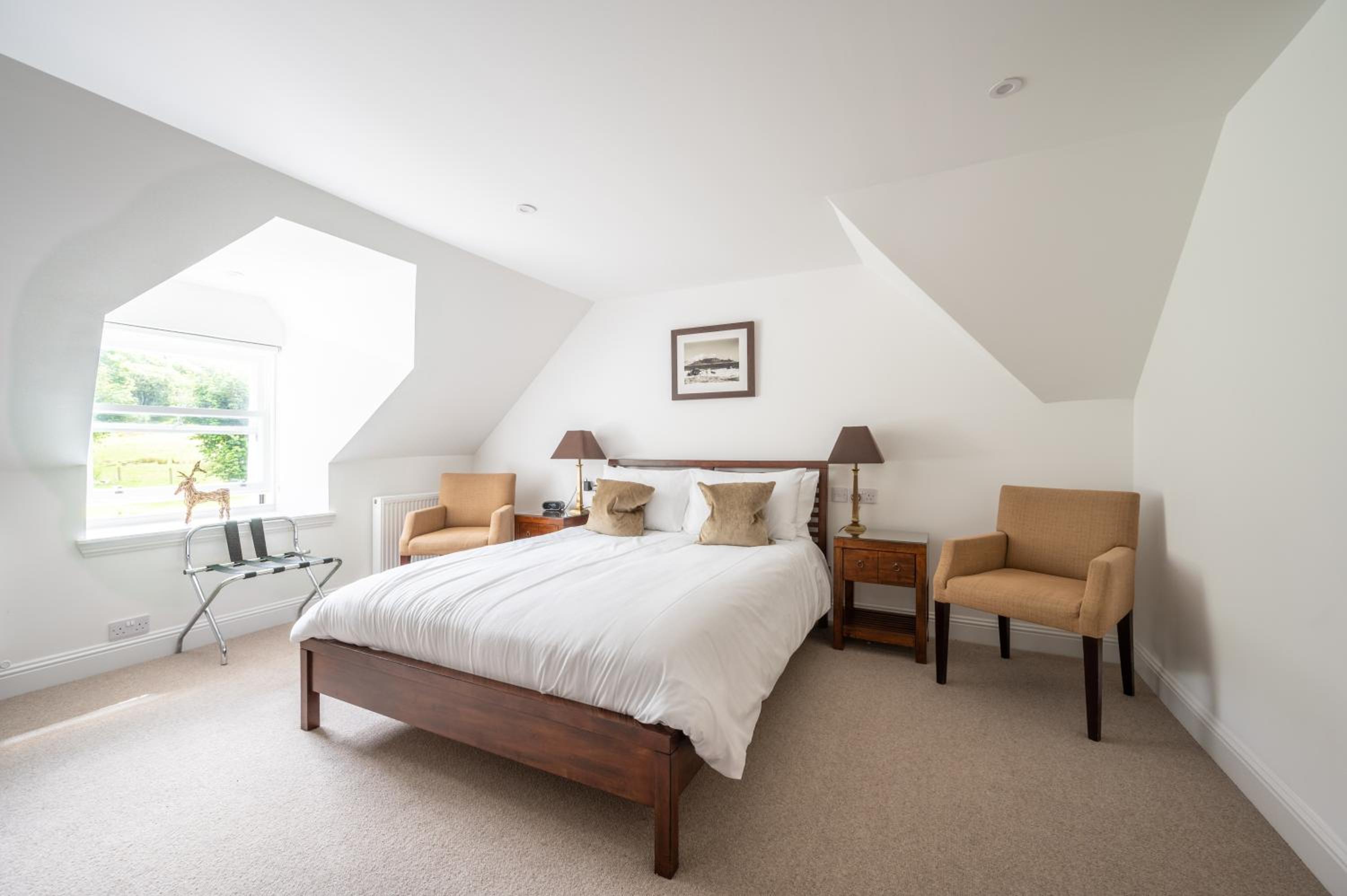 Deluxe Room - Photo 1