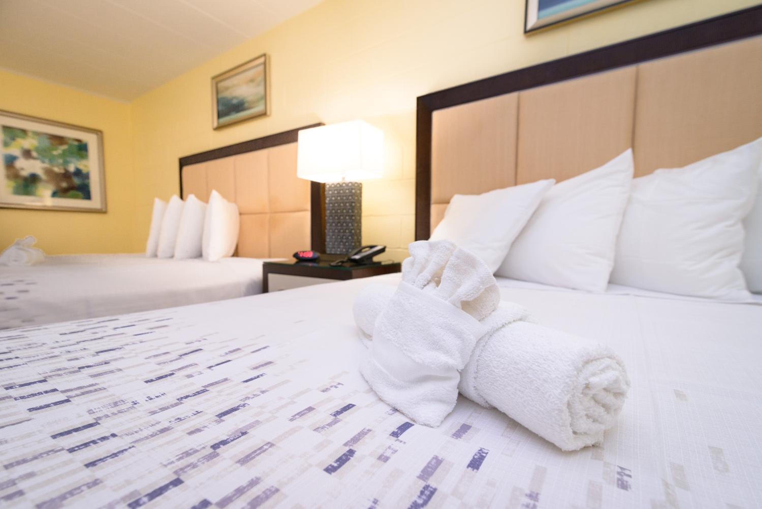 Superior Queen Room