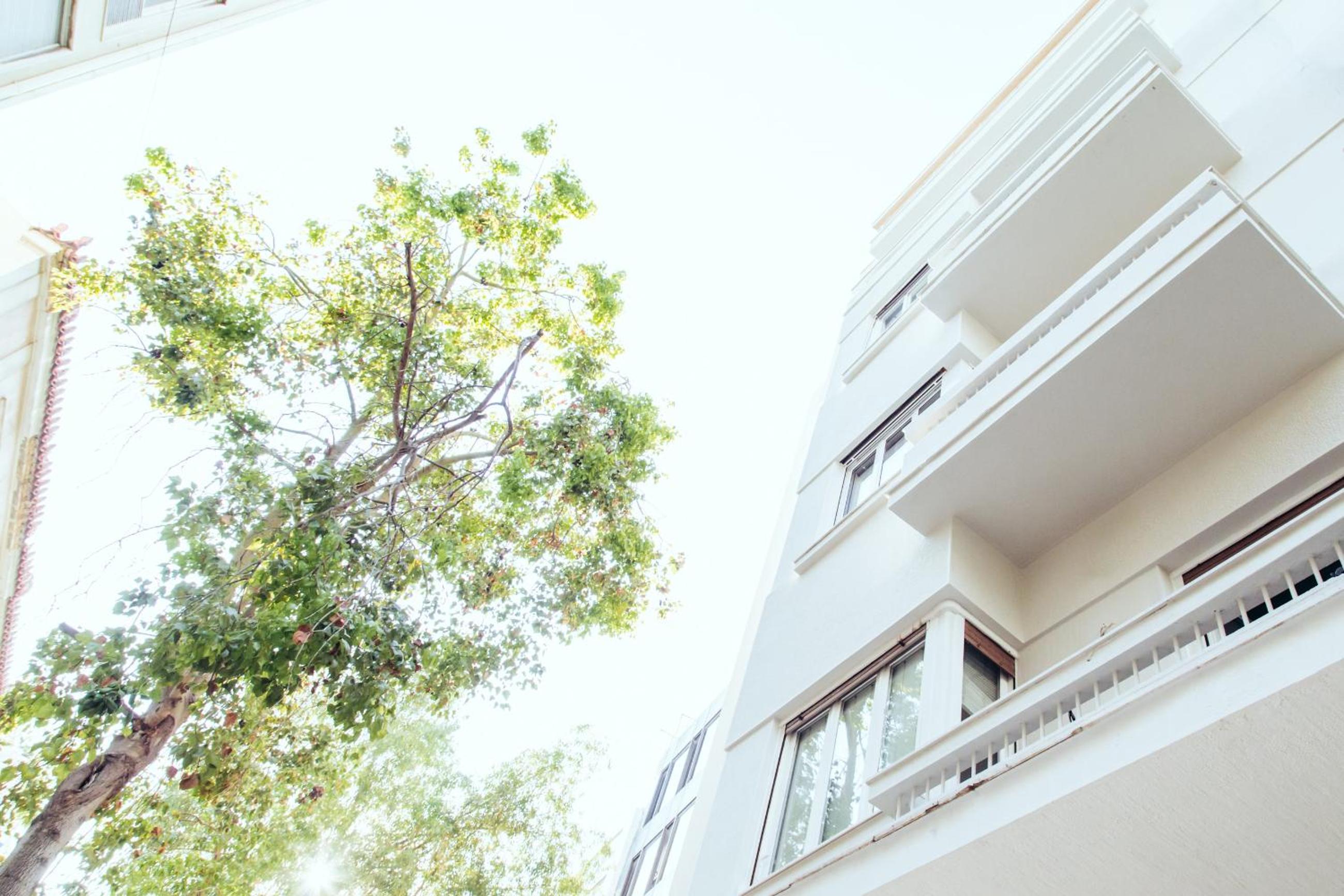 Apartment with Terrace photo 3