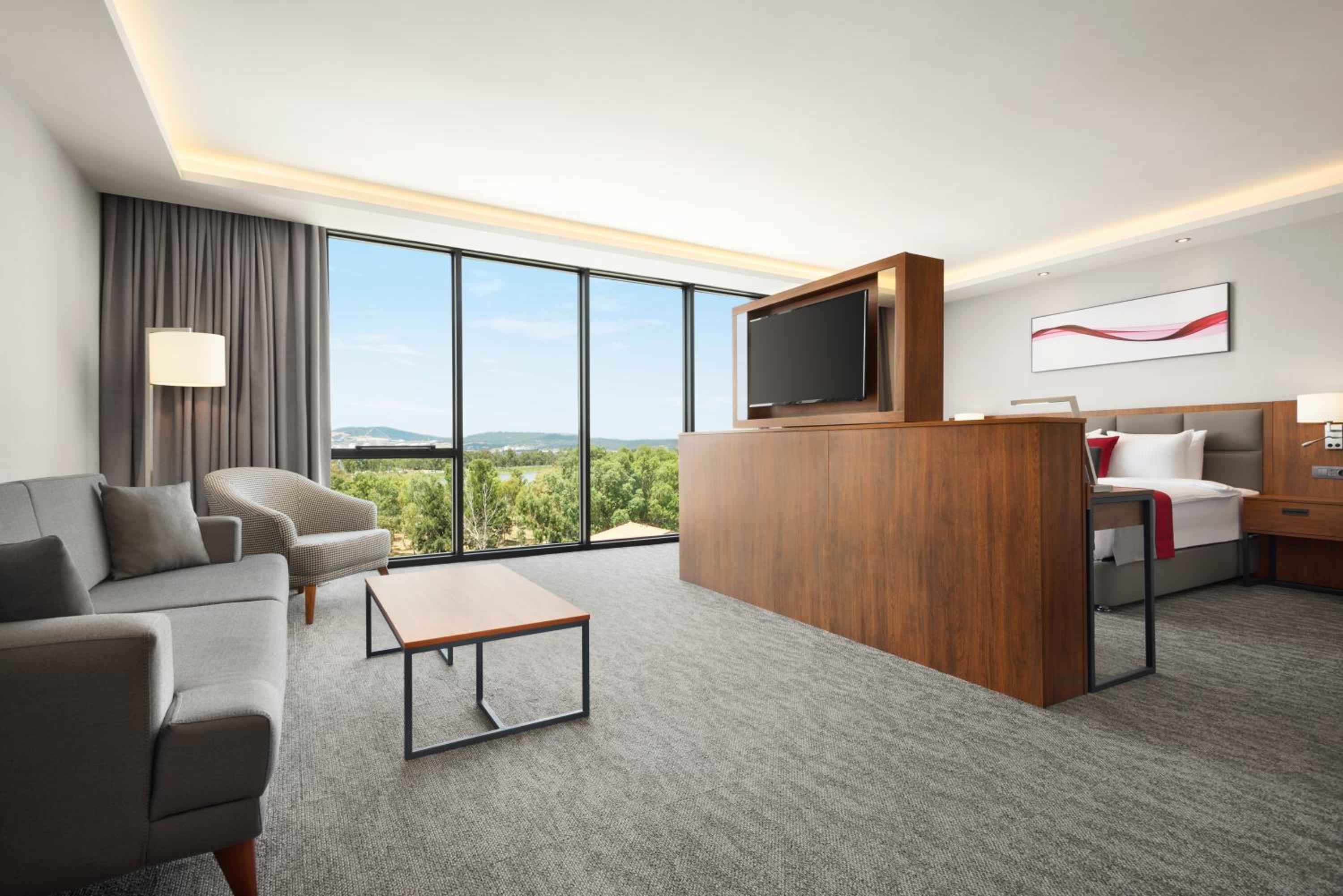 King Suite with Sofa Bed - Photo 6
