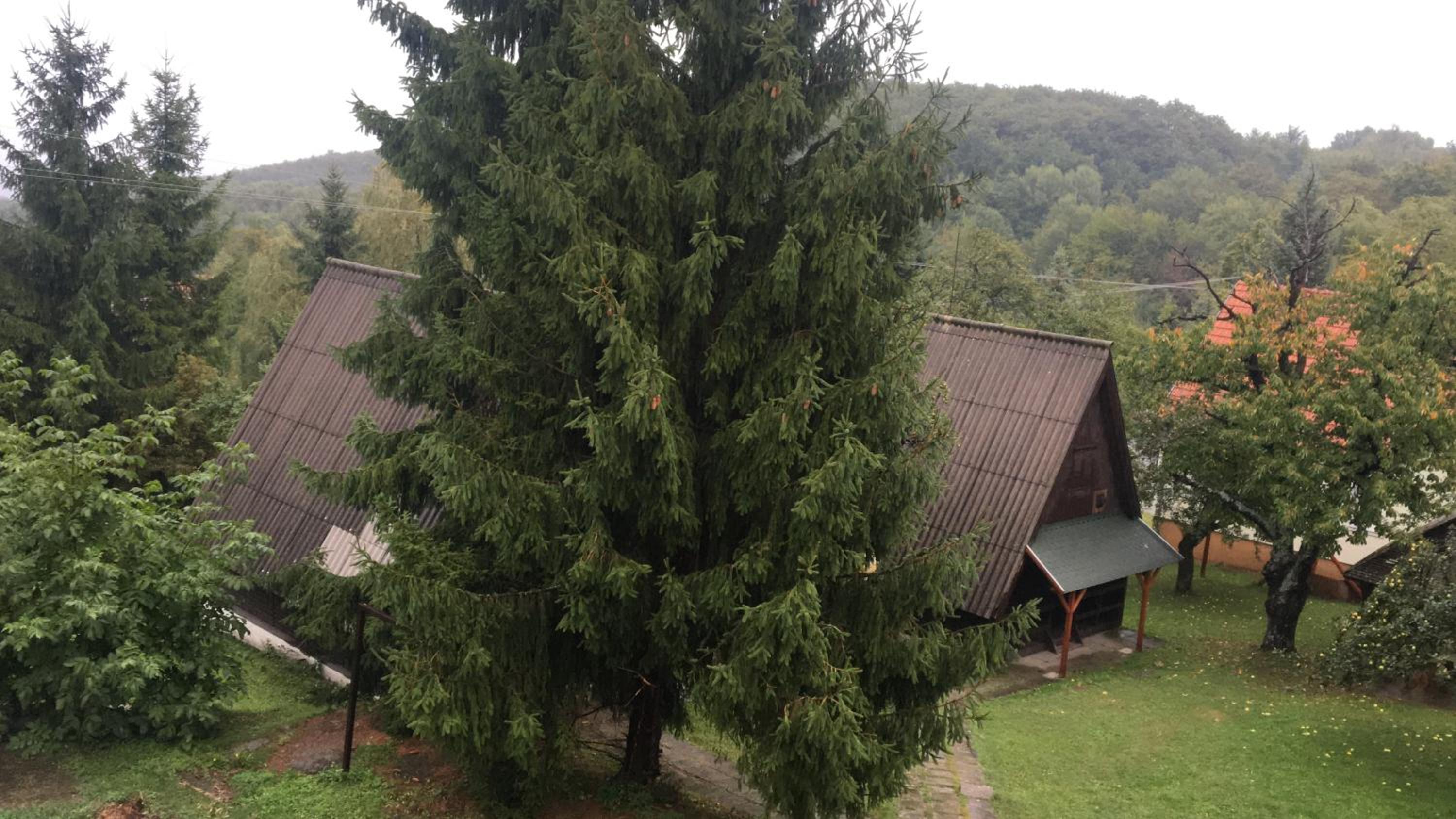 Apartment with Mountain View - Photo 11