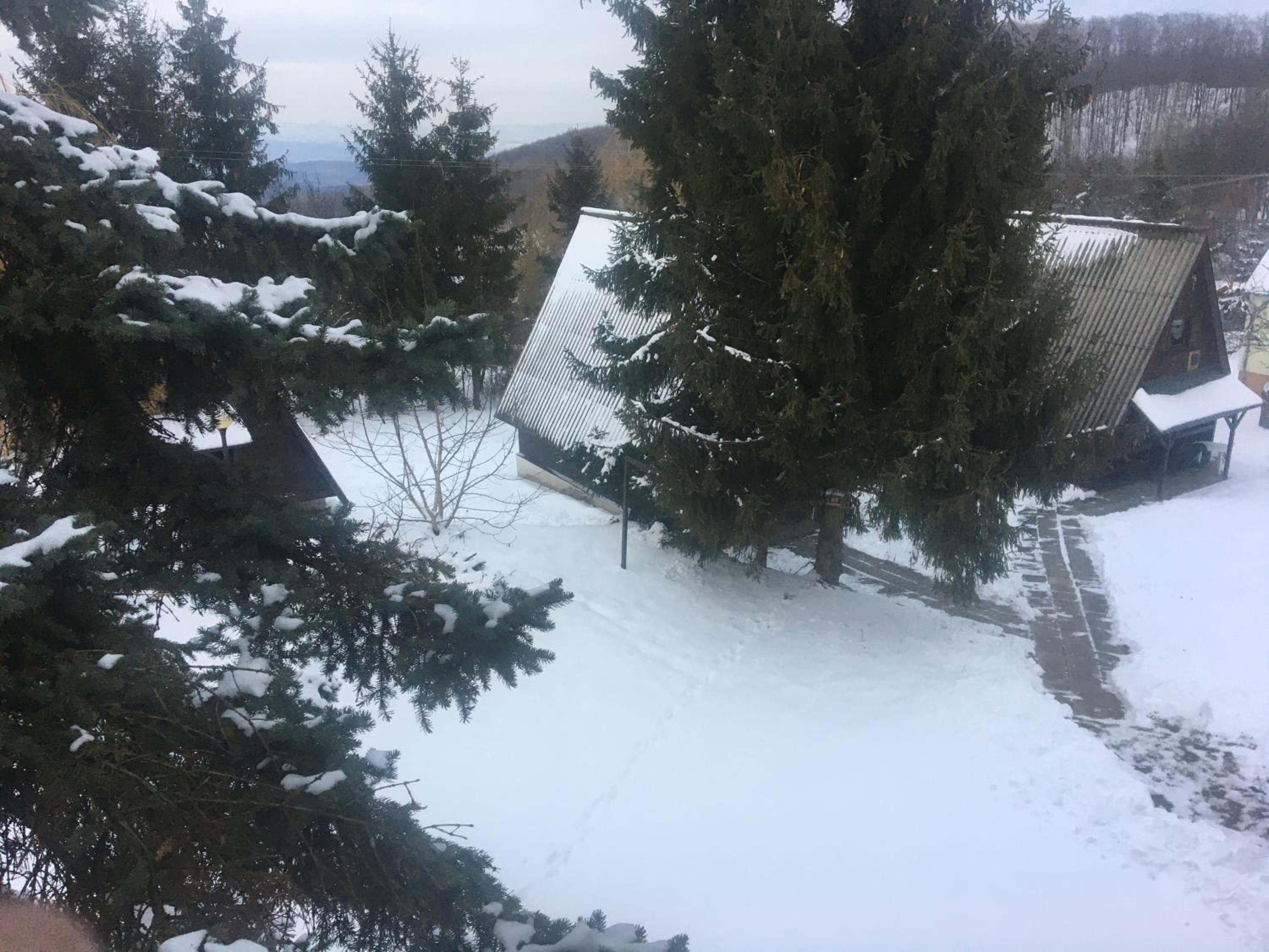 Apartment with Mountain View - Photo 29