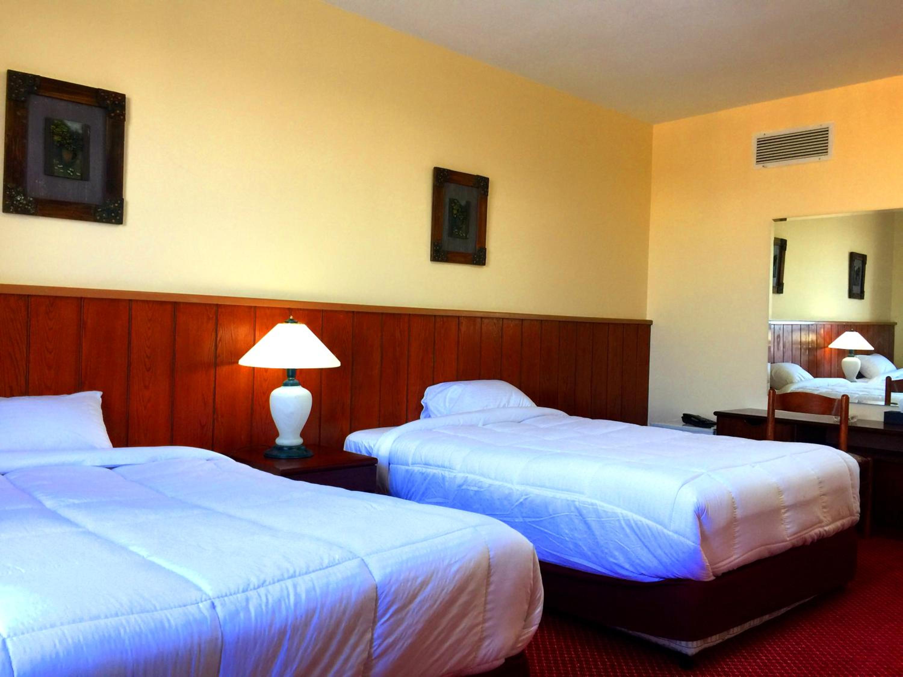Family Suite photo 1