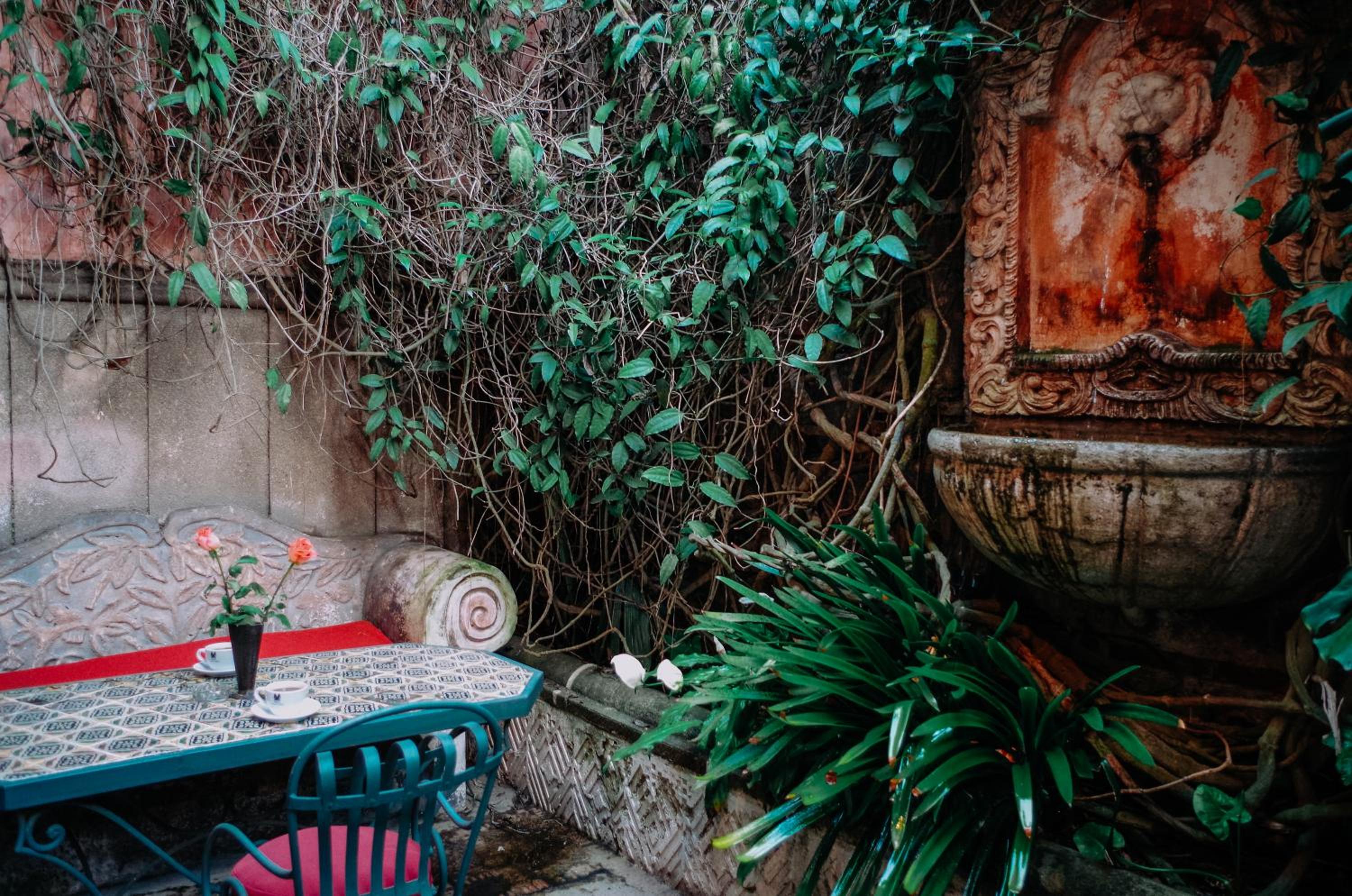 The Rainforest Suite