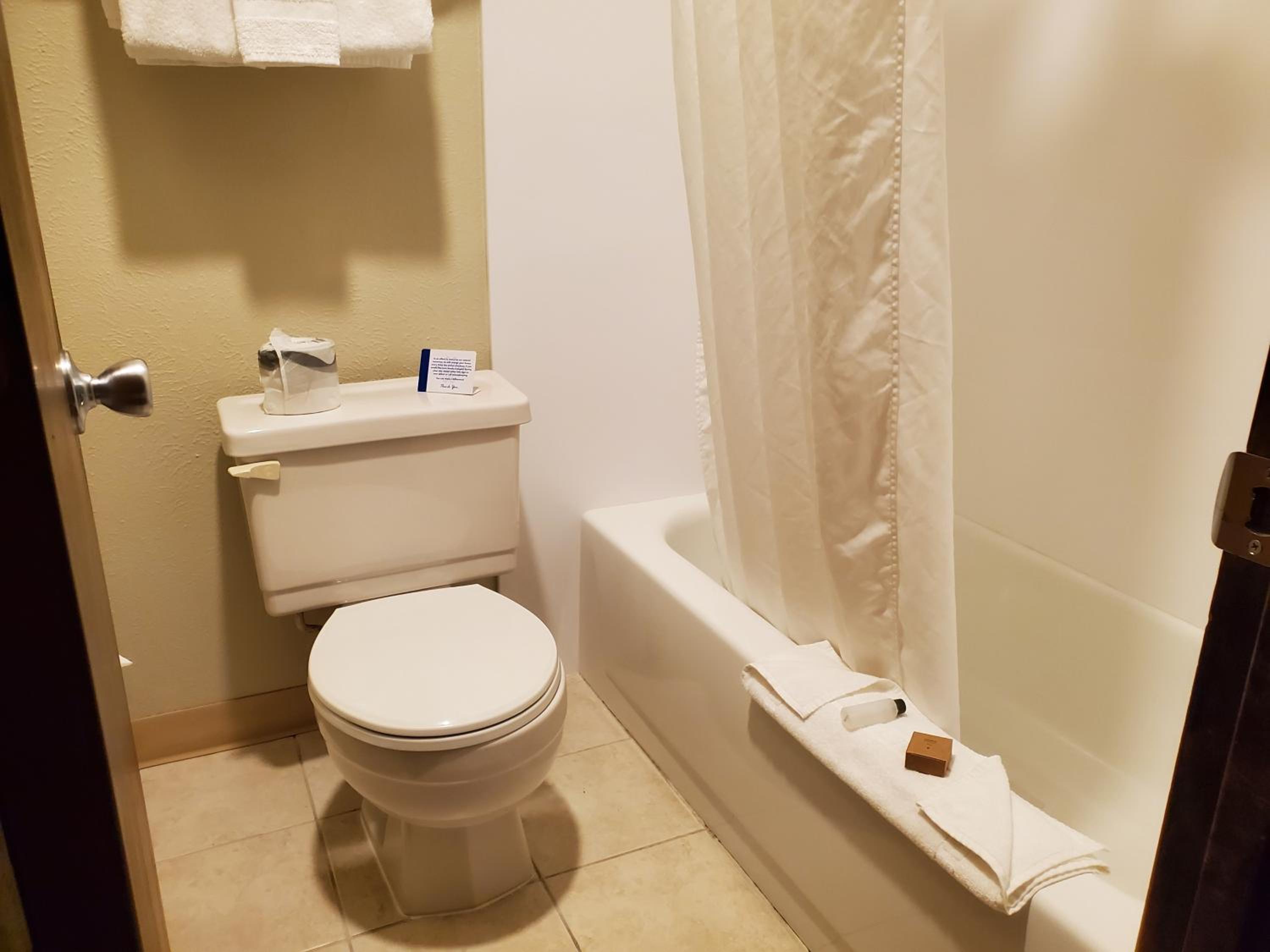 Deluxe Studio Suite with Two Queen Beds - Non-Smoking photo 3