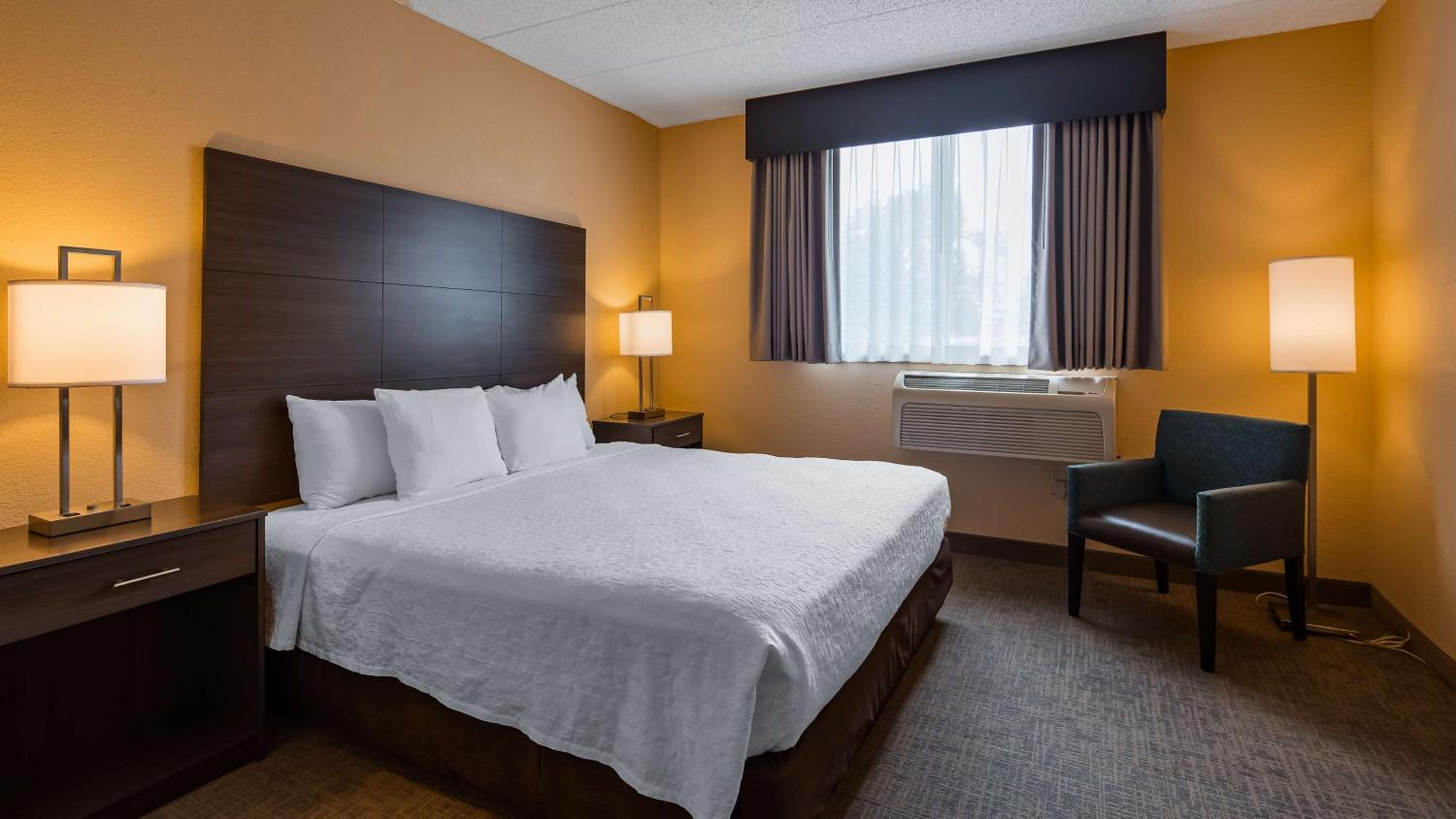 One-Bedroom King Suite photo 1