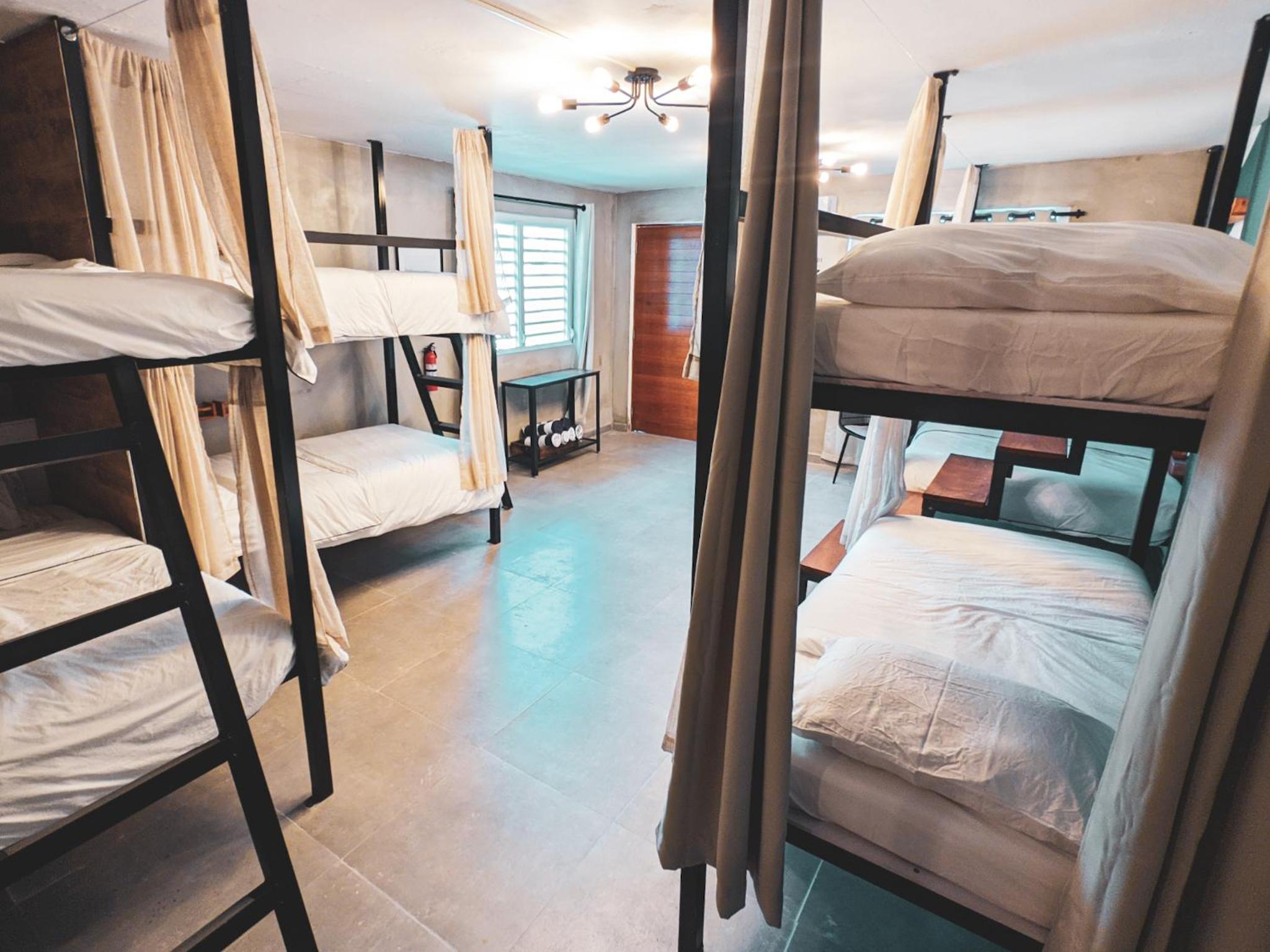 8-Bed Mixed Dormitory Room photo 1