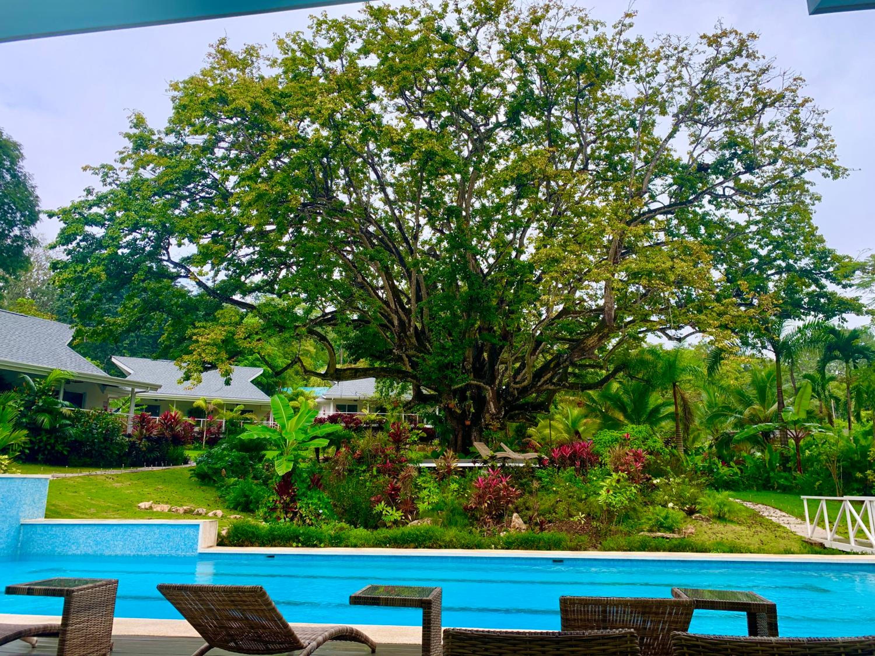 King Room with Pool View photo 2