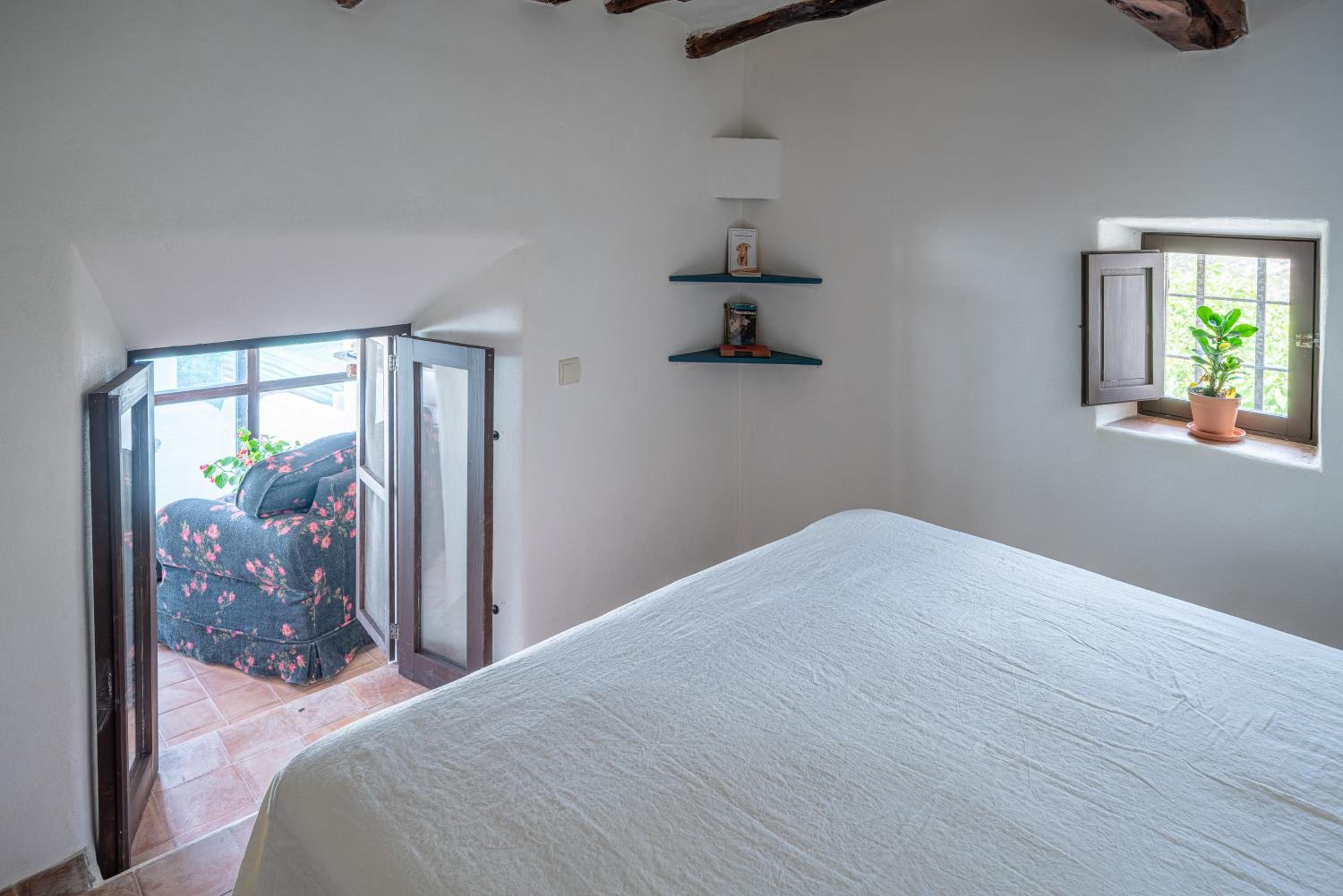 Suite Junior de Lujo