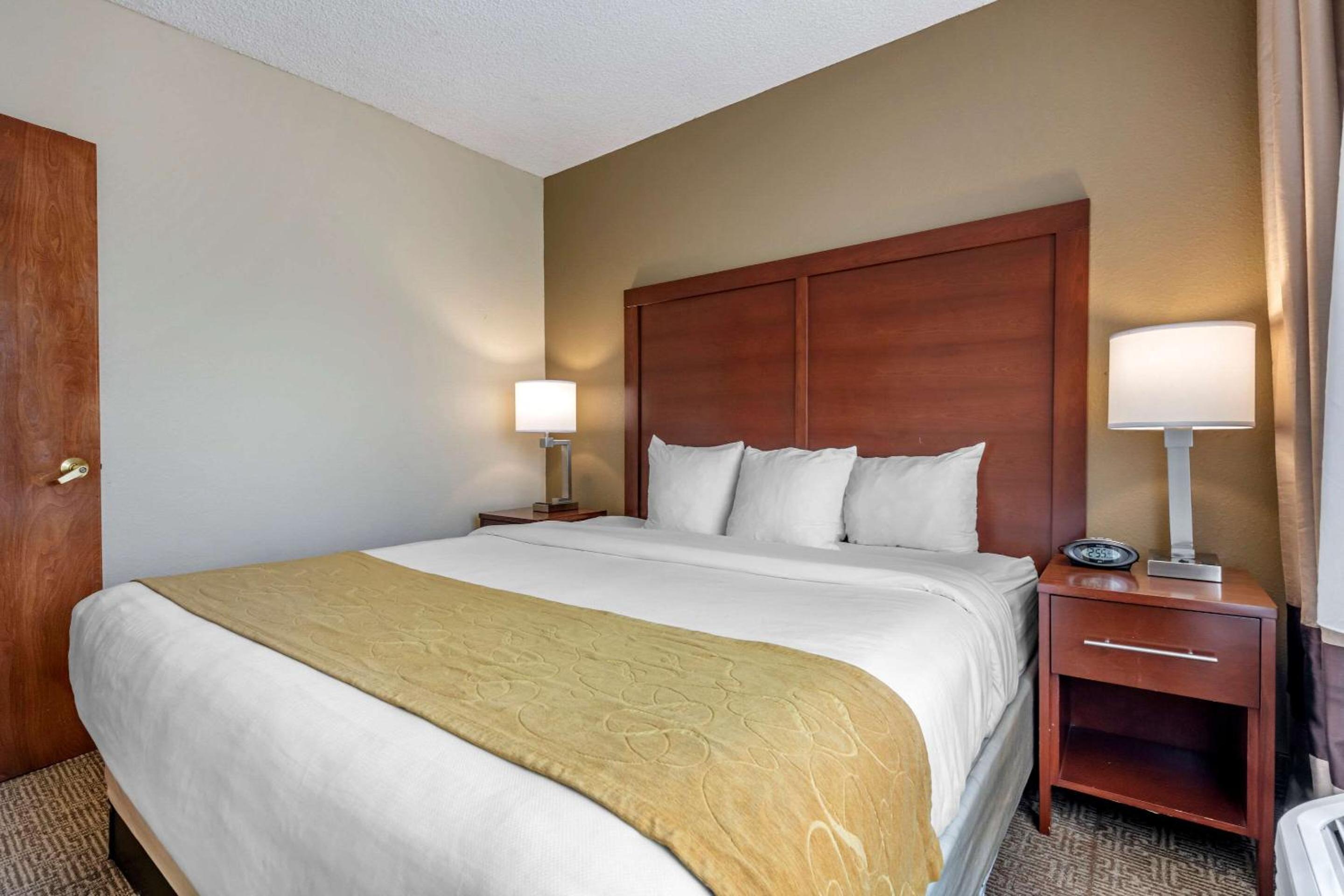 King Suite with Sofa Bed - Non-Smoking - Photo 5