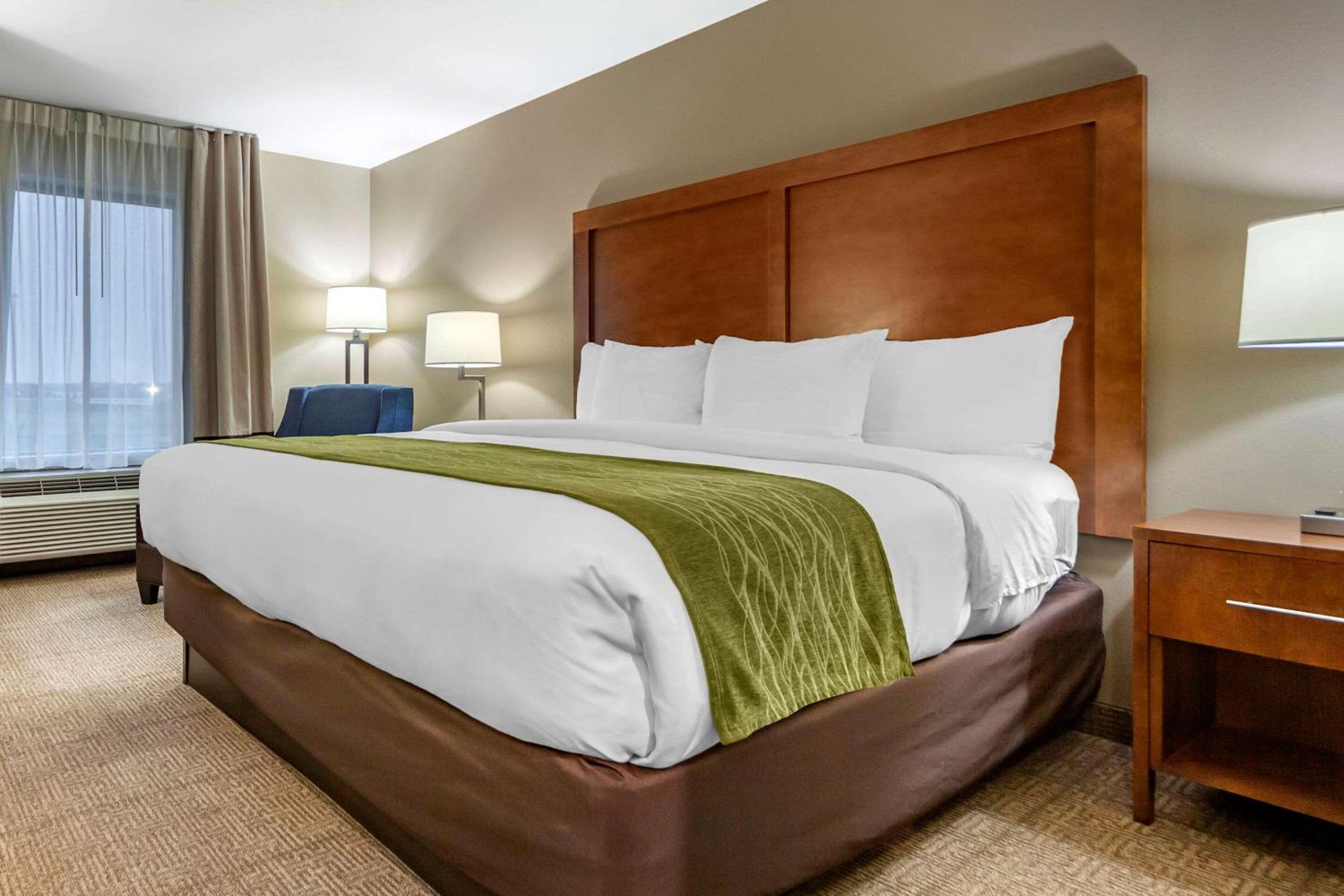 King Room photo 1