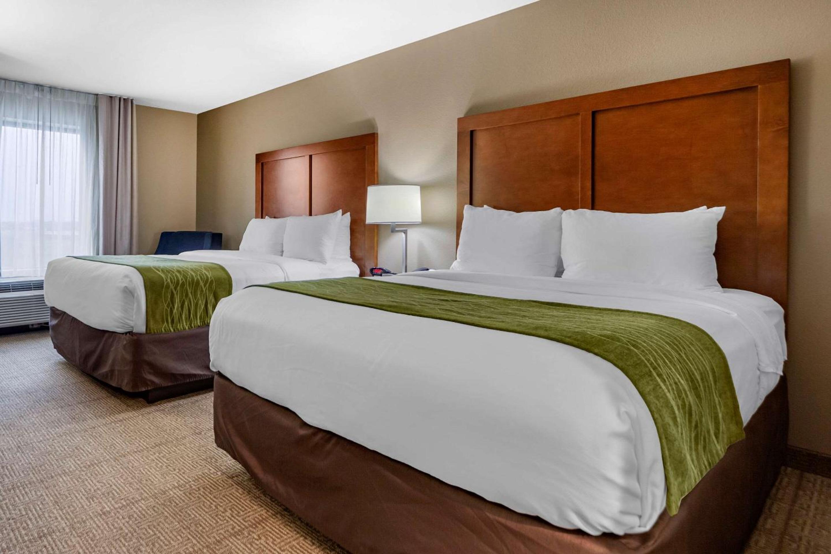 Queen Room with Two Queen Beds photo 1