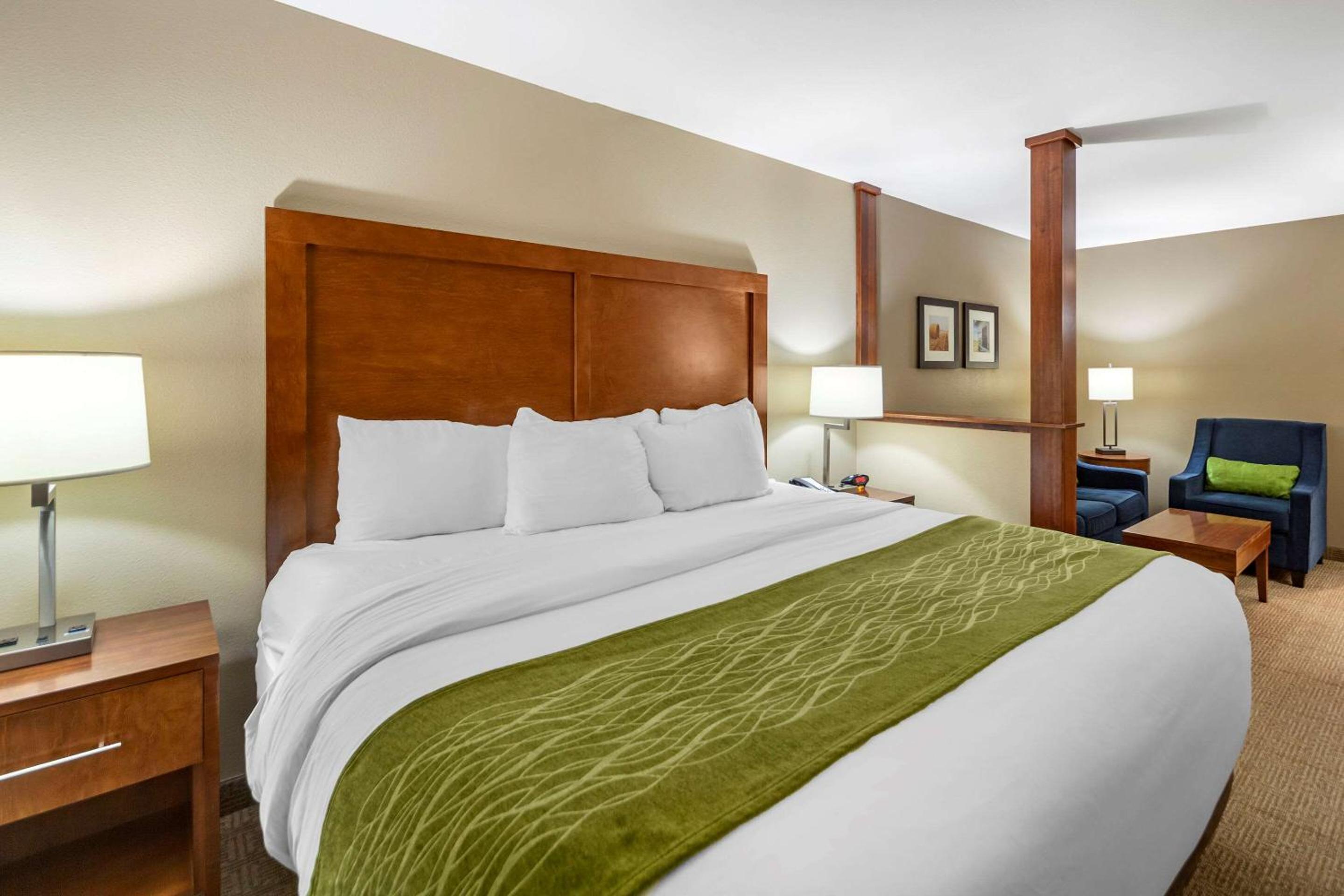 King Suite photo 1