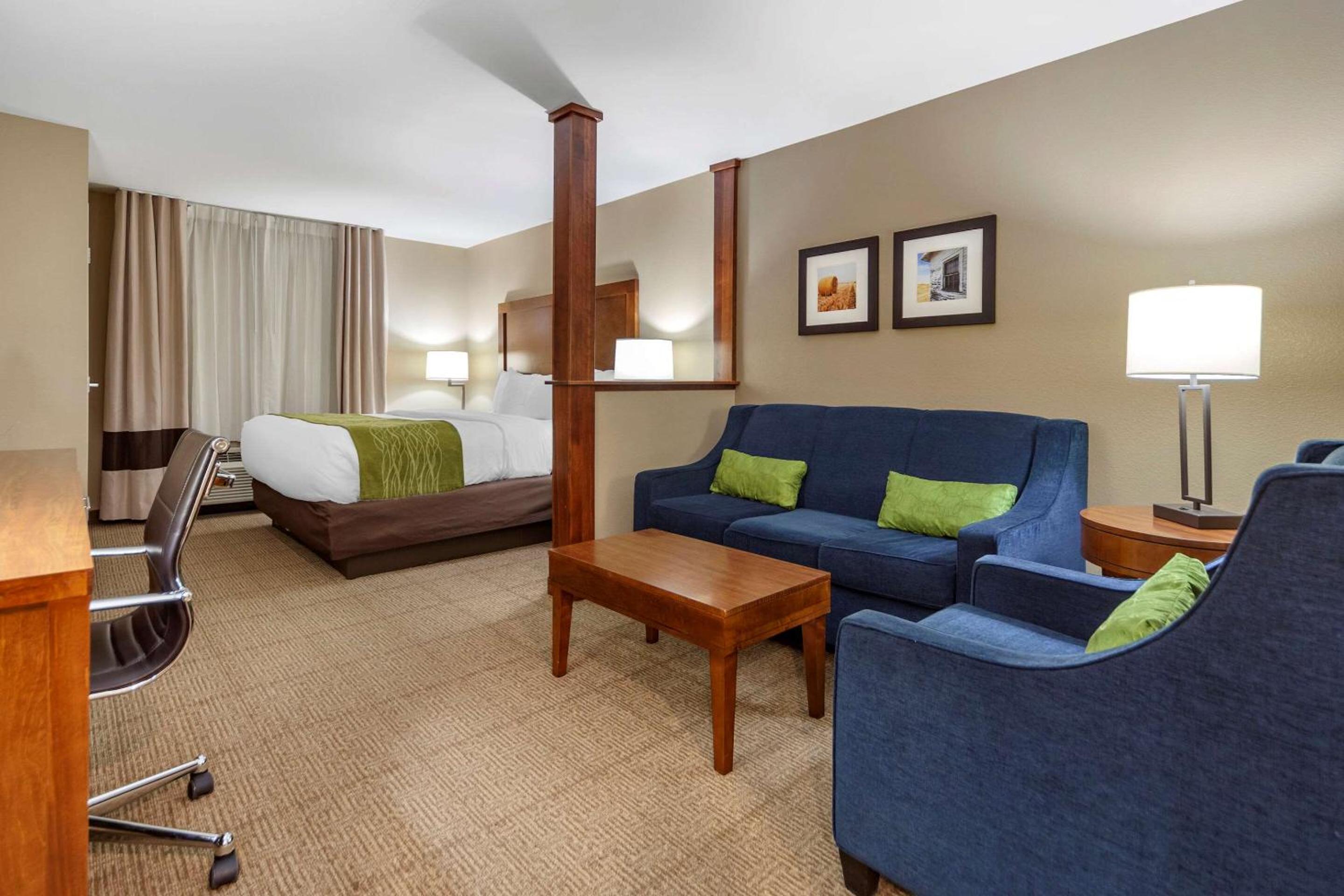 King Suite photo 2