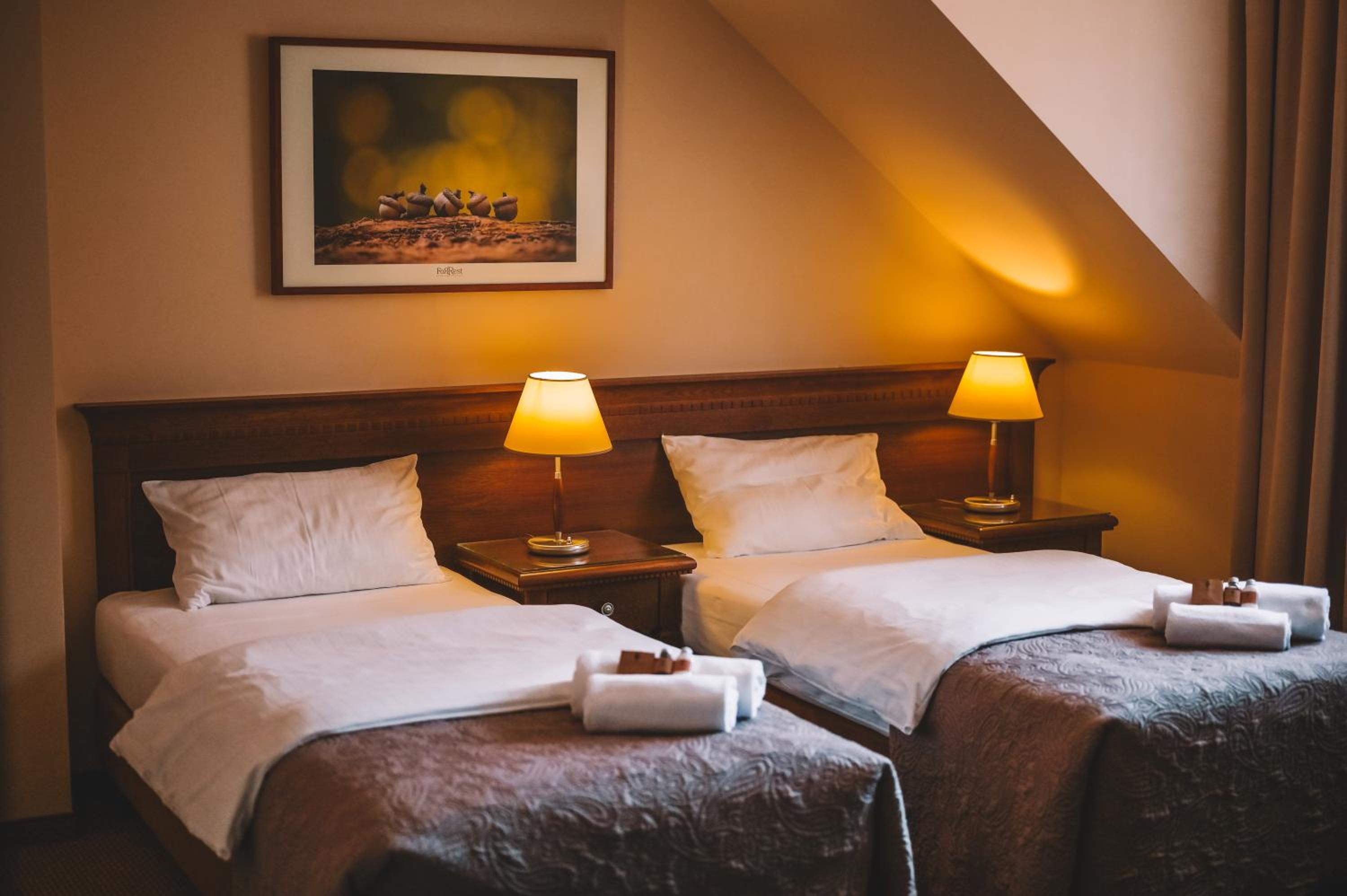 Comfort Room - Photo 7