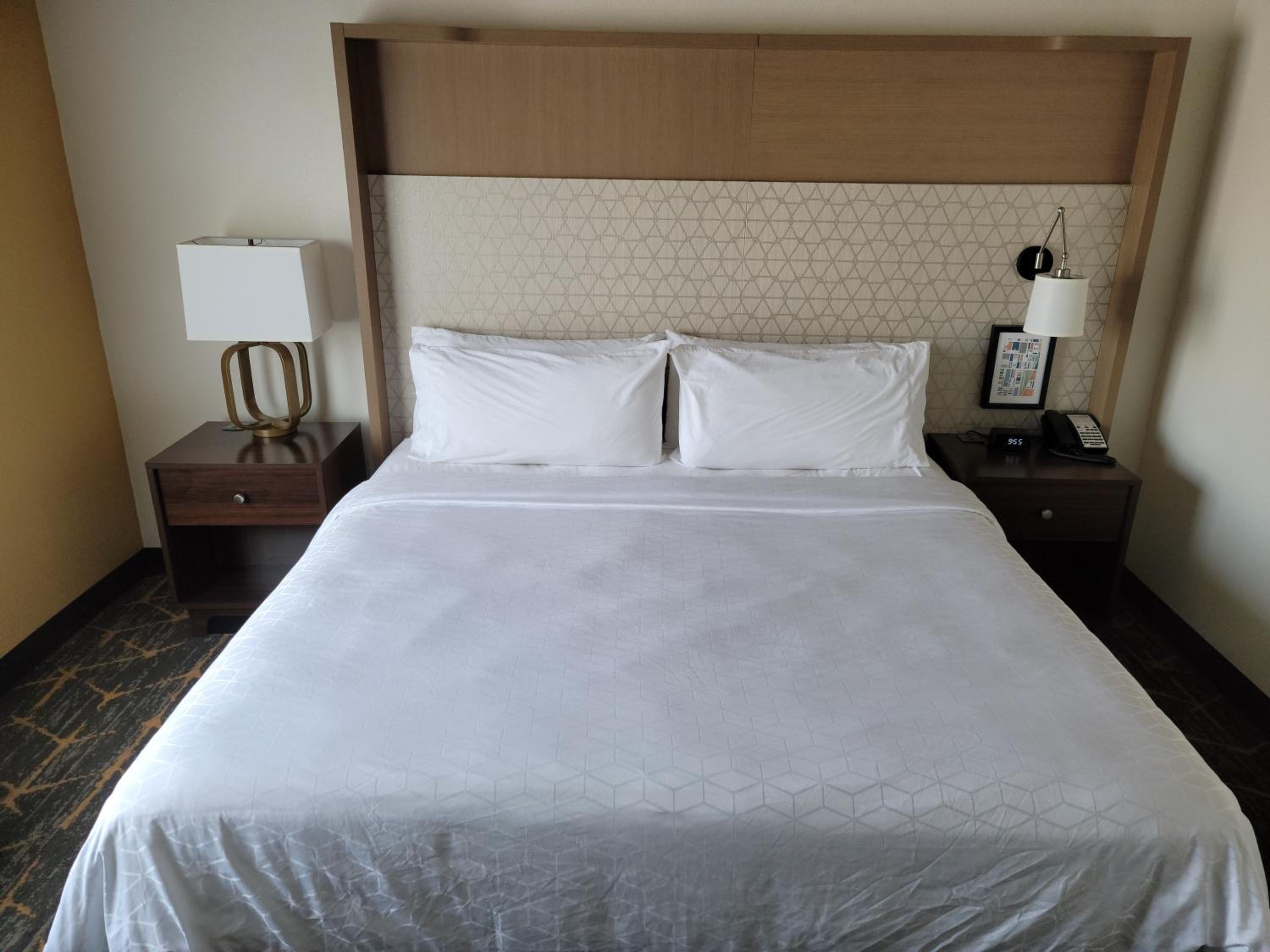 King Suite with Sofa Bed - Photo 1
