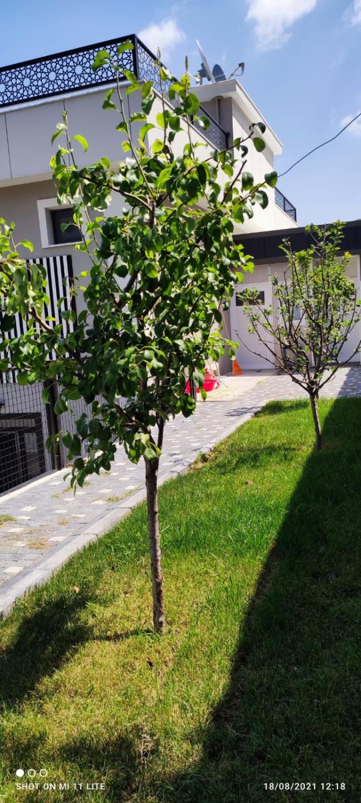 Standard Villa - Photo 32