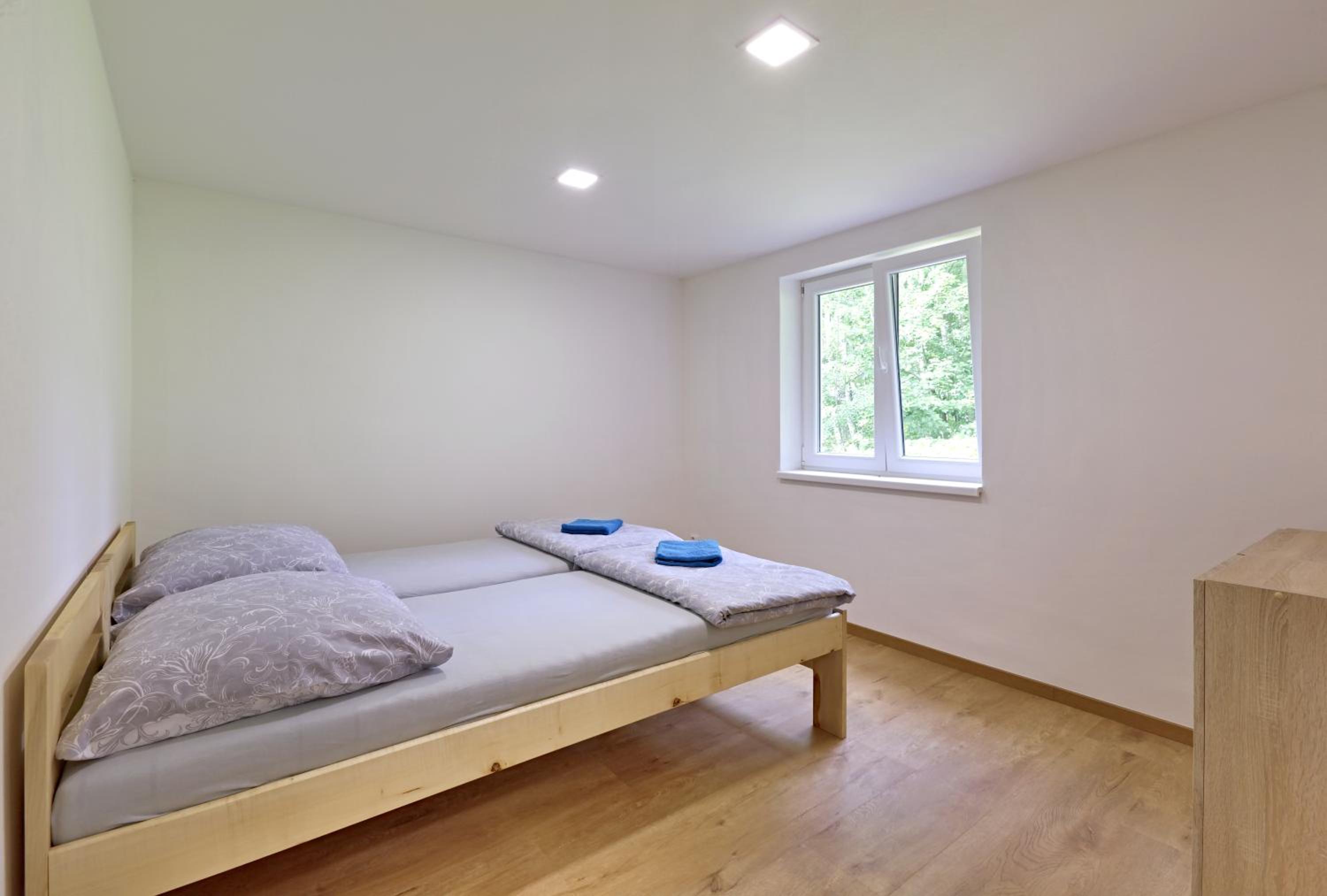 Deluxe Double or Twin Room photo 1