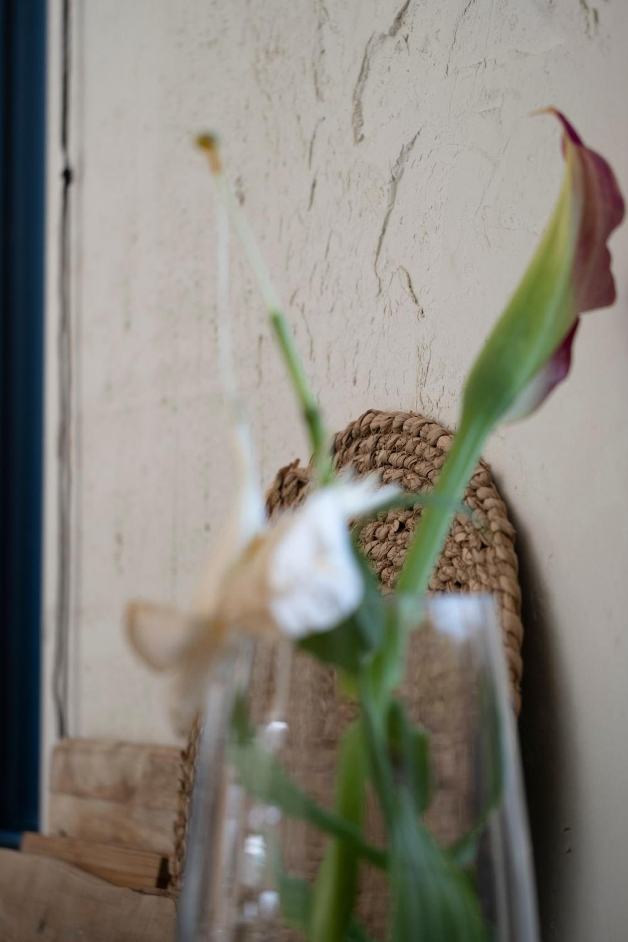 Two-Bedroom Apartment with garden photo 3