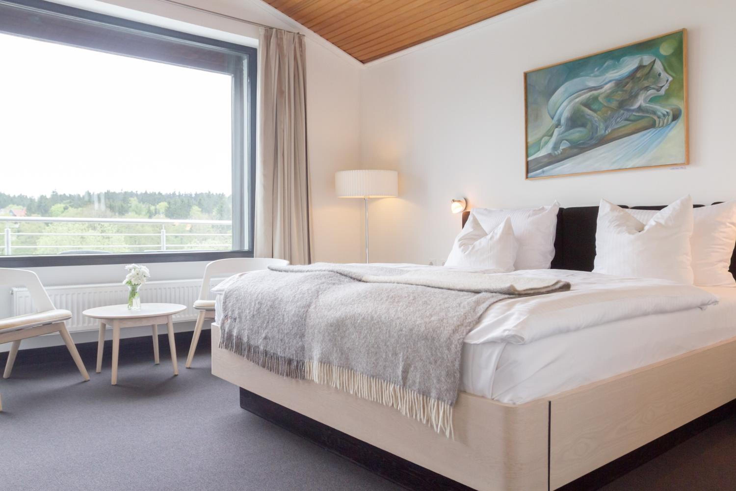 Deluxe Single Room photo 1