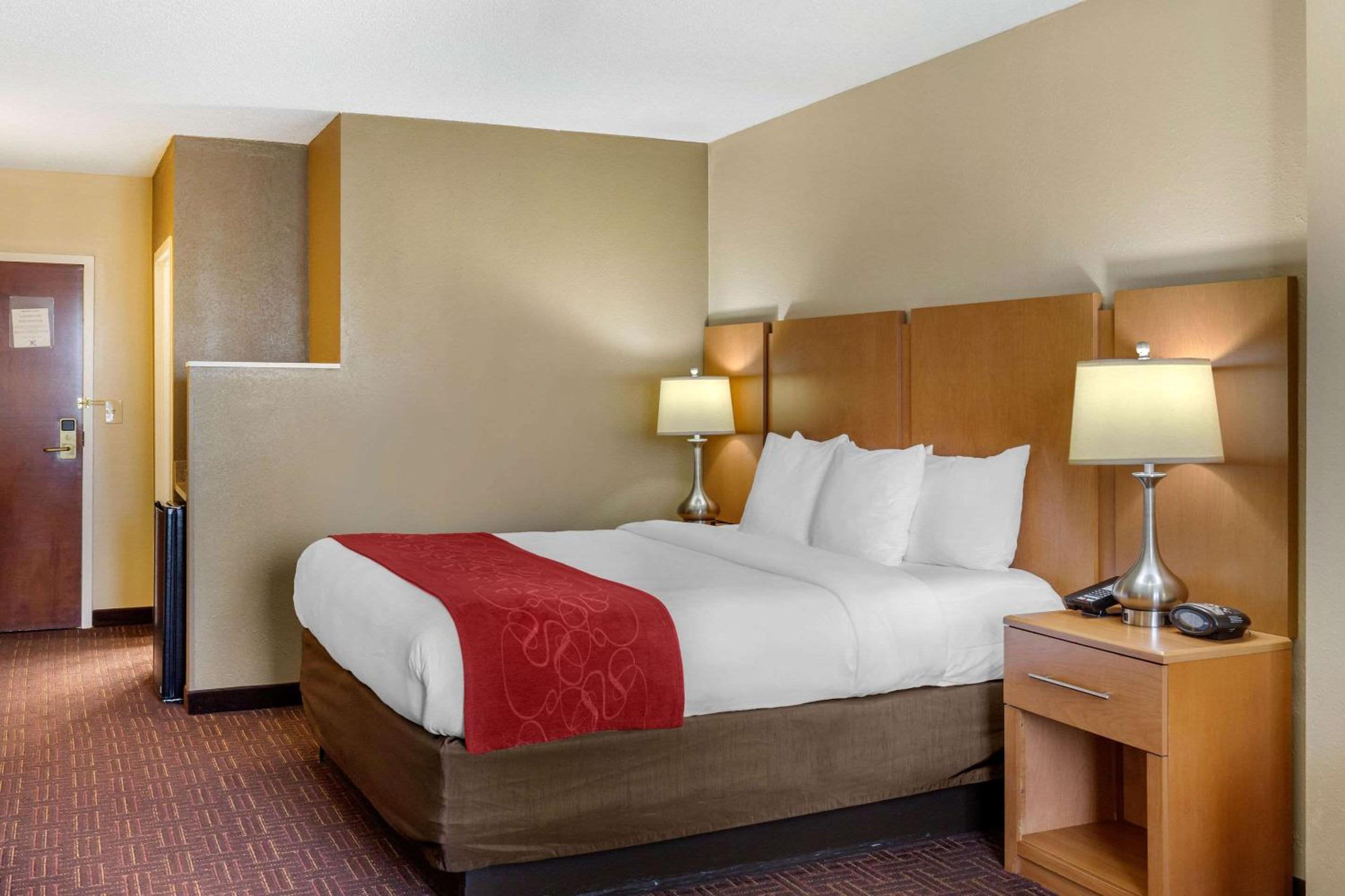 King Suite - Photo 1