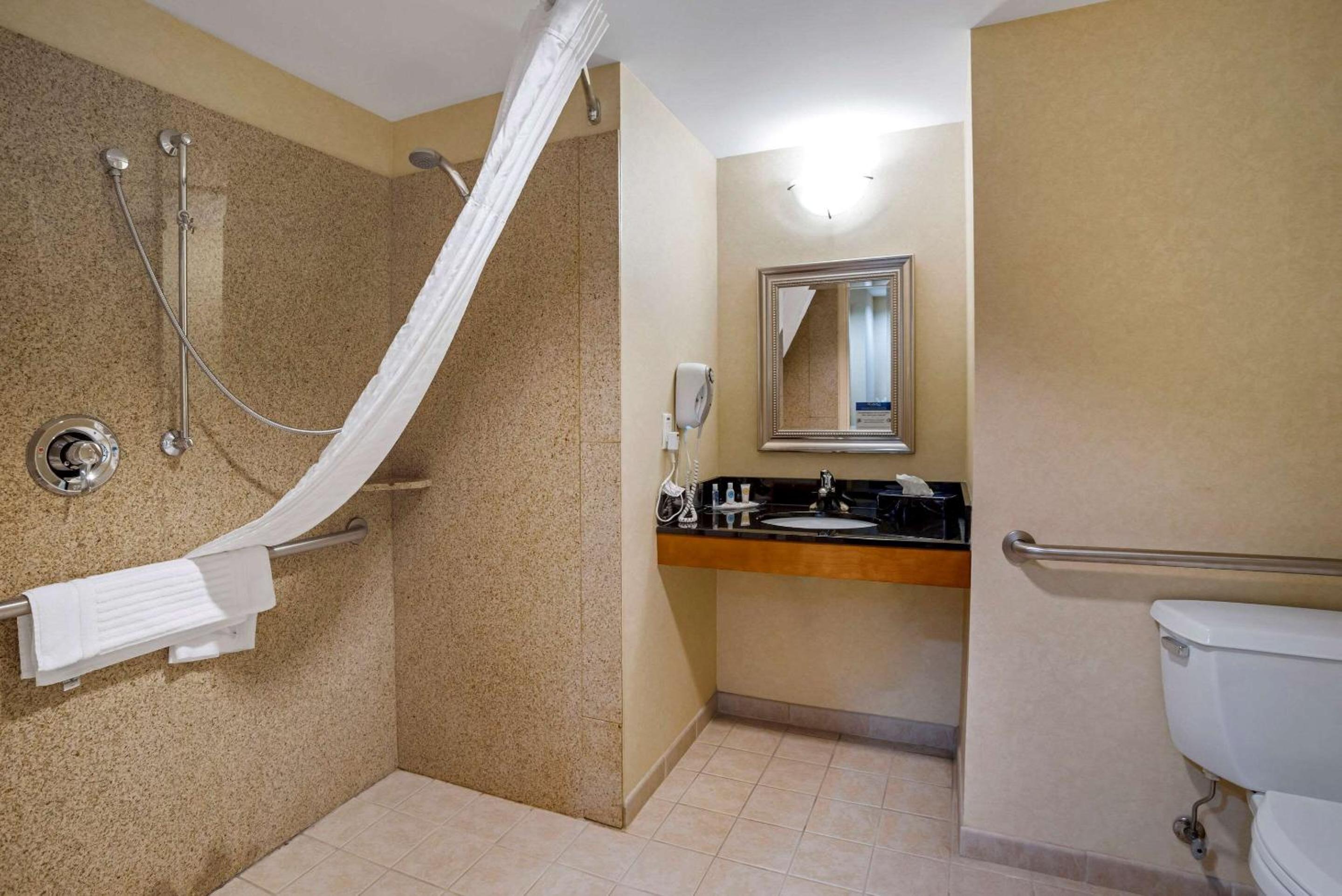 King Room with Roll-In Shower - Accessible/Non-Smoking - Photo 5