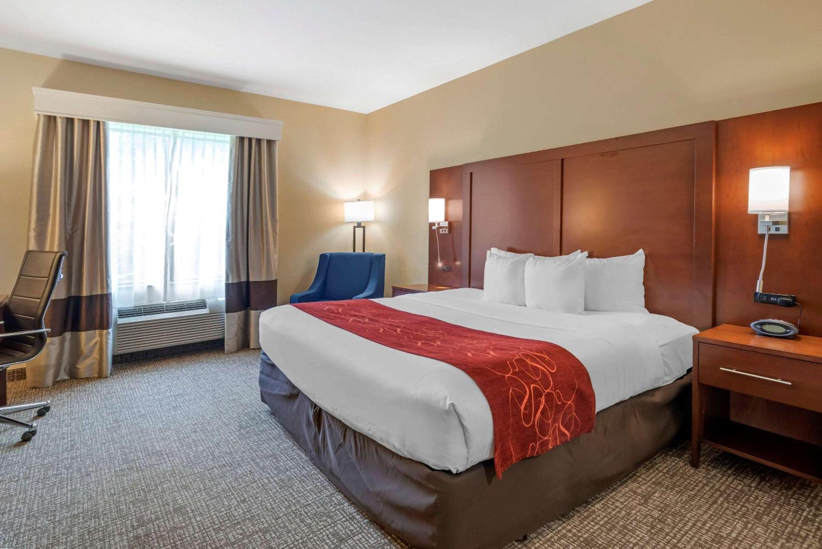 King Room with Roll-In Shower - Accessible/Non-Smoking - Photo 2