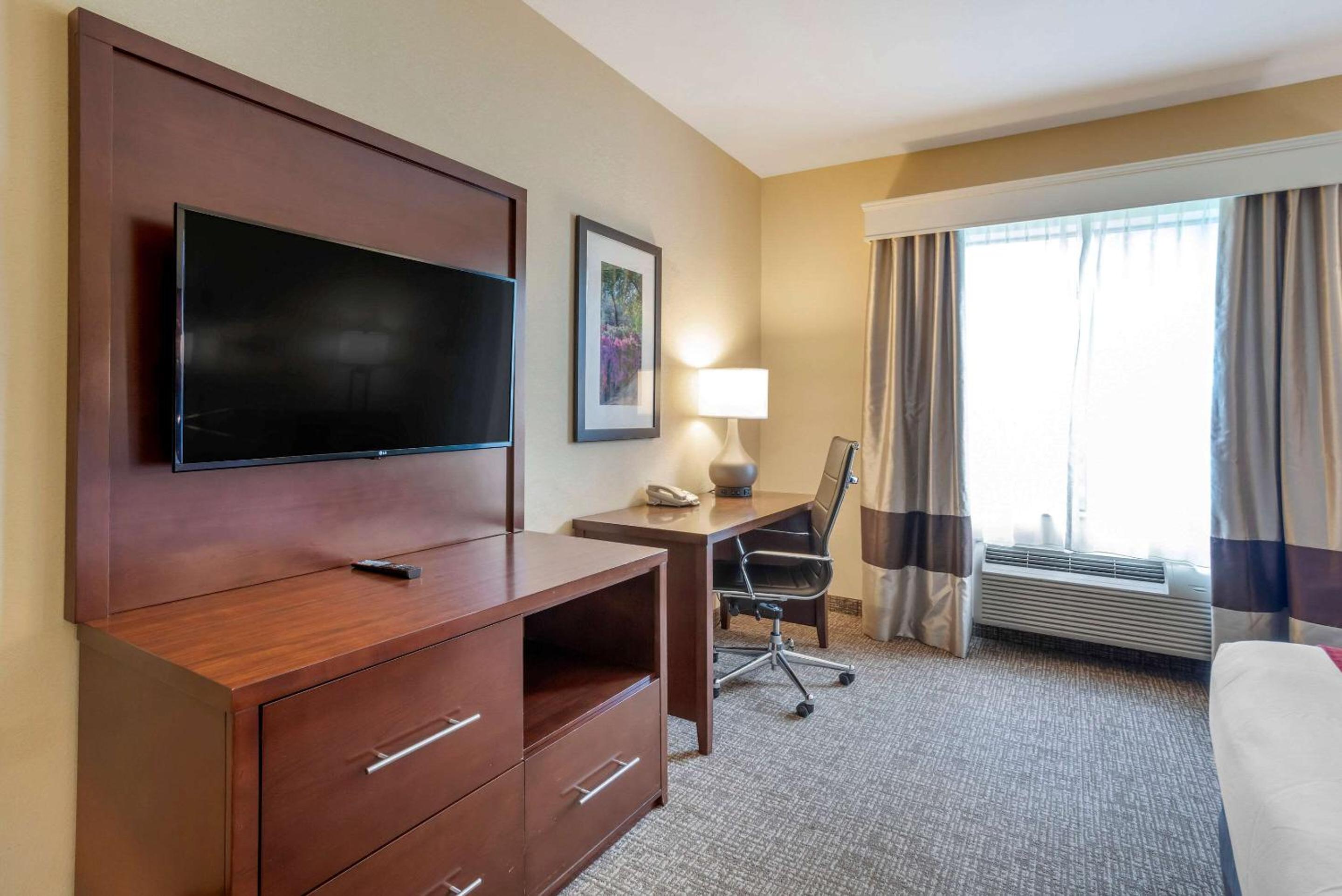 King Room with Roll-In Shower - Accessible/Non-Smoking - Photo 9