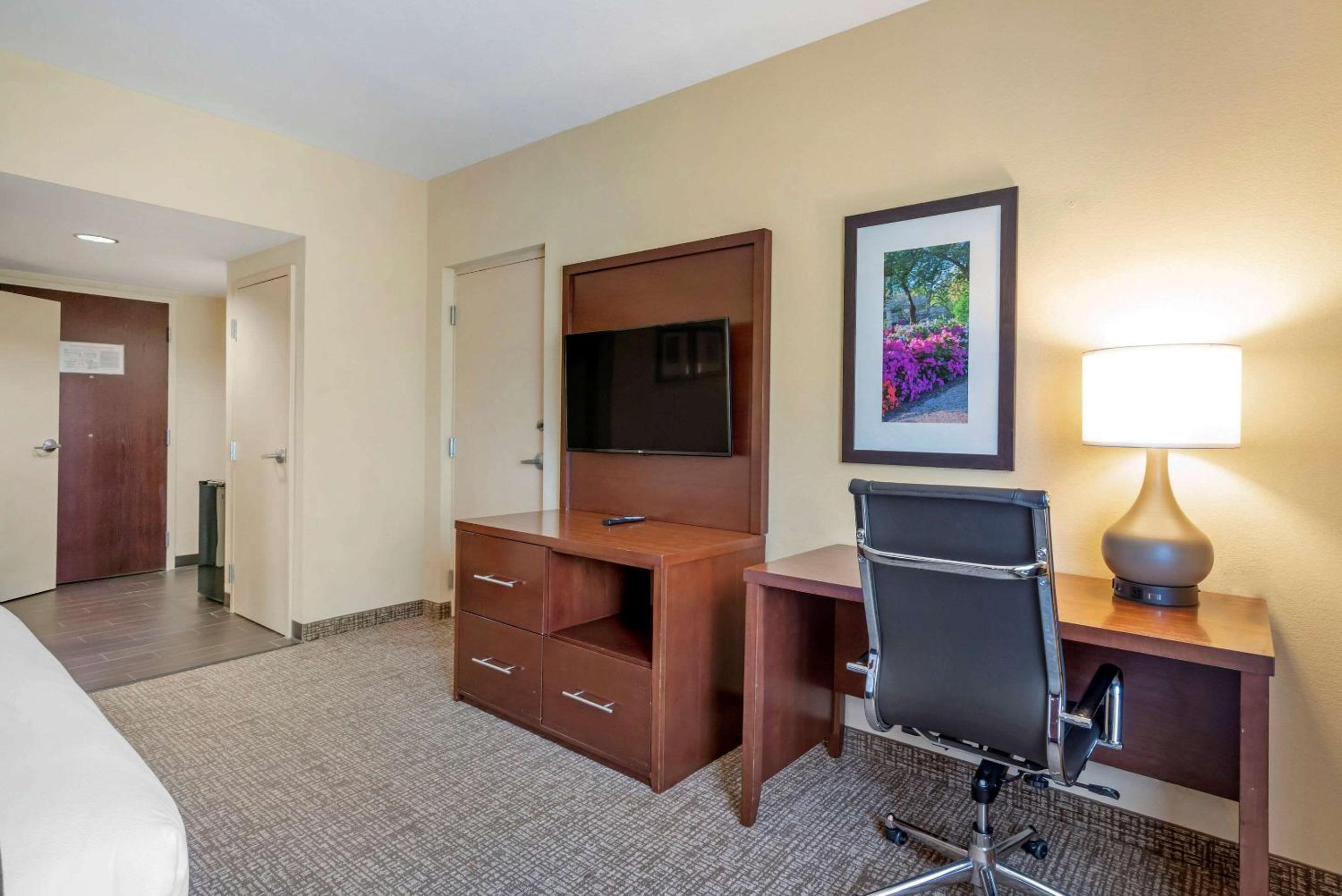 King Room with Roll-In Shower - Accessible/Non-Smoking - Photo 10