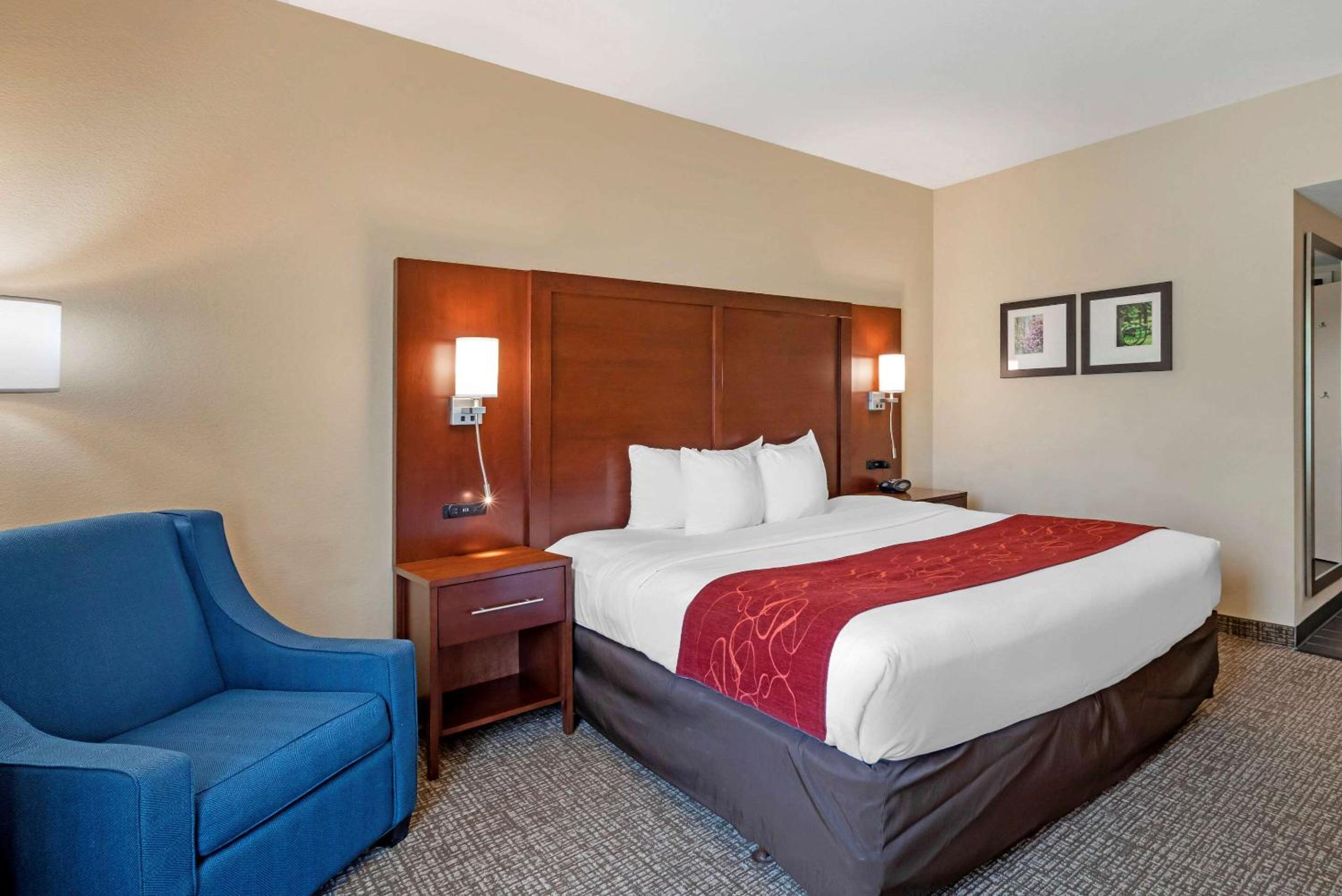 King Room with Roll-In Shower - Accessible/Non-Smoking - Photo 1