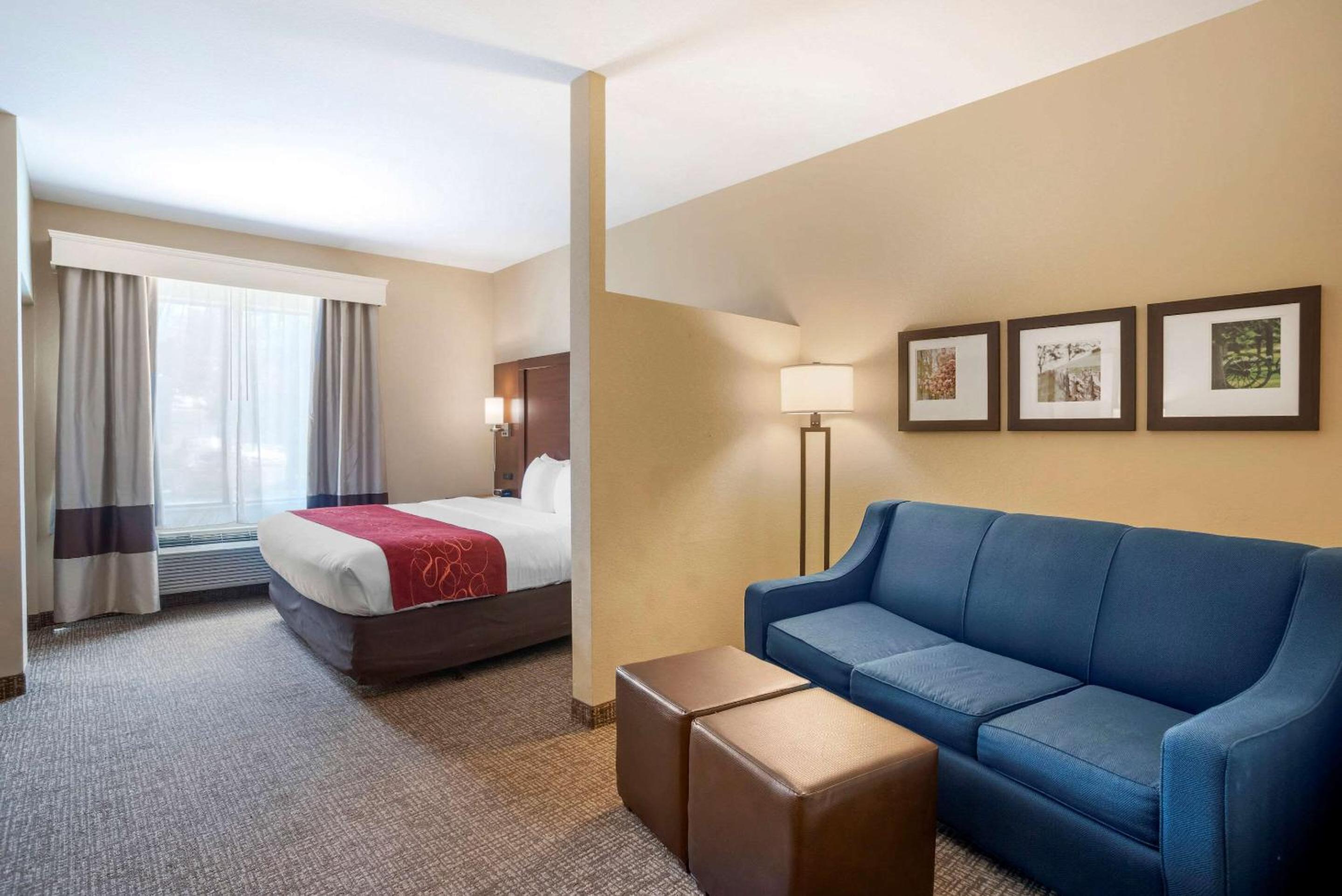 King Suite - Accessible/Non-Smoking - Photo 8