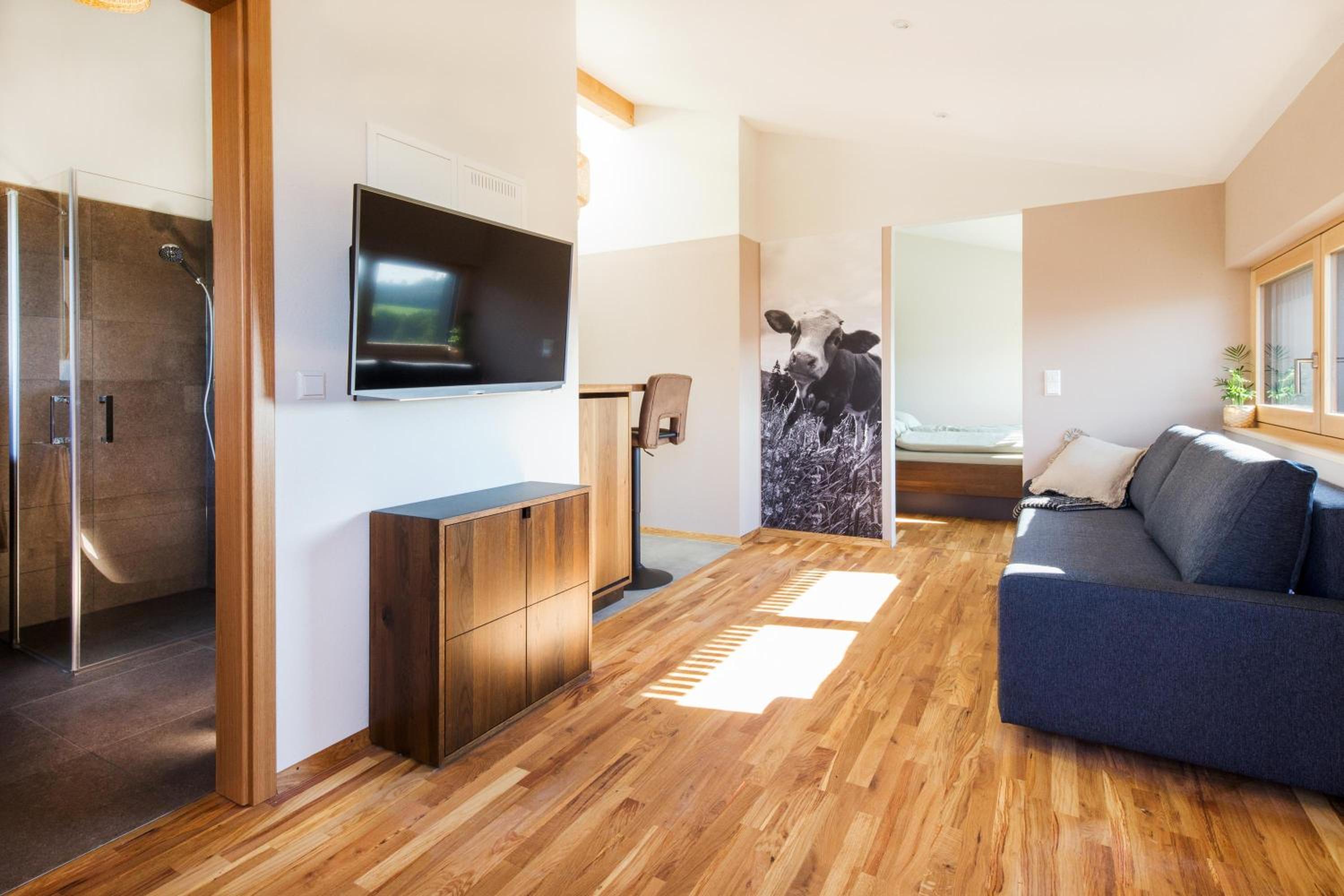 Superior One-Bedroom Apartment with Balcony photo 1
