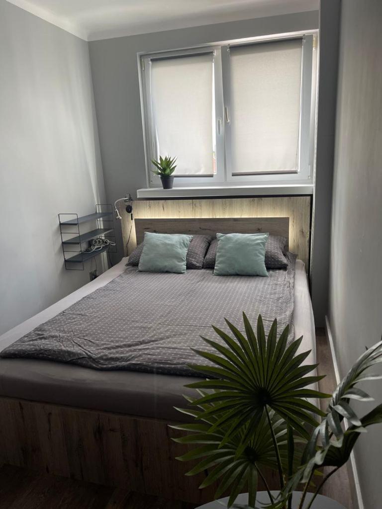 One-Bedroom Apartment - Photo 16