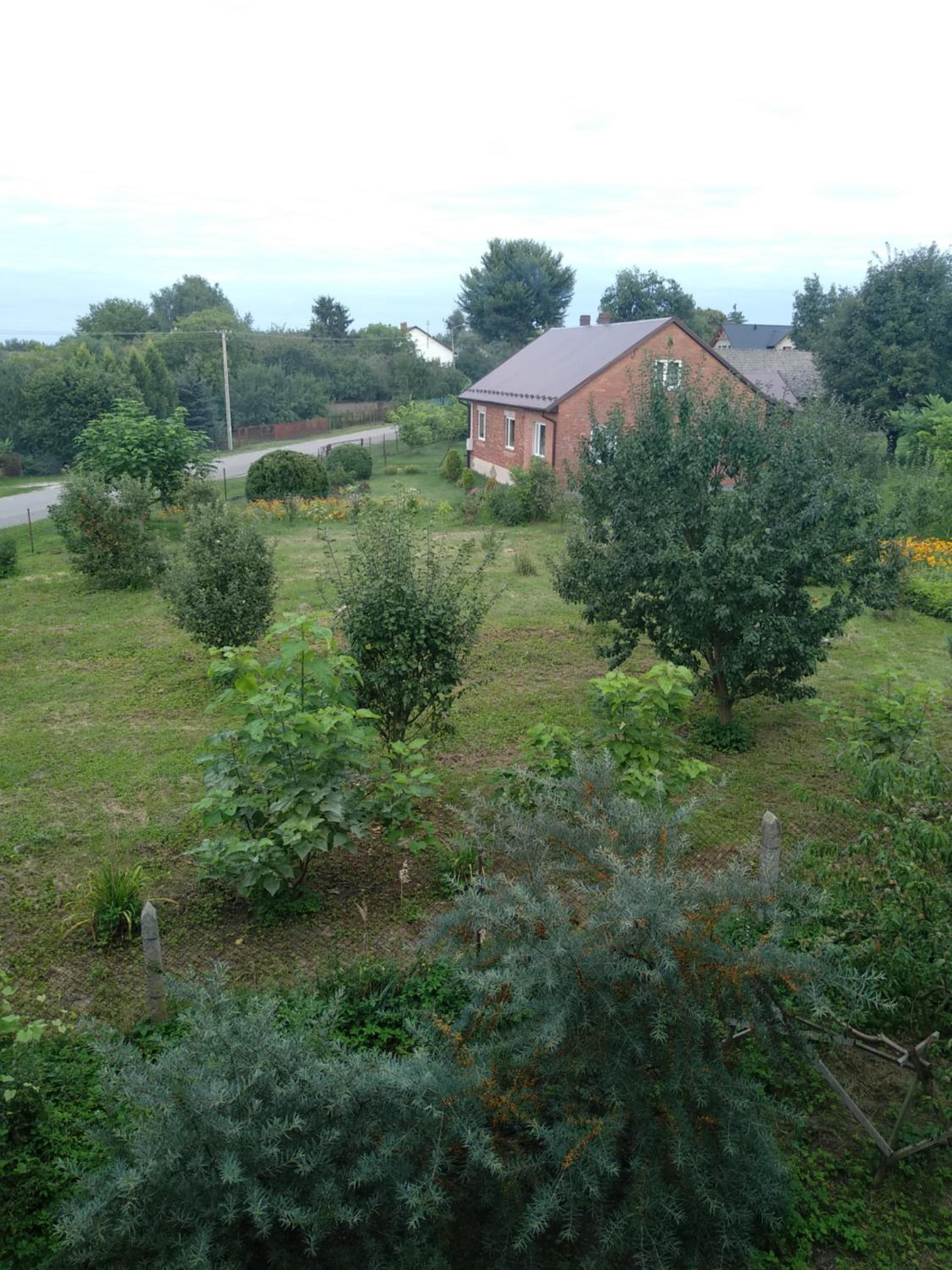Double Room with Garden View - Photo 5
