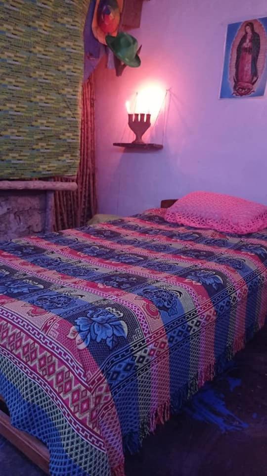 Bed in 2-Bed Dormitory Room photo 1