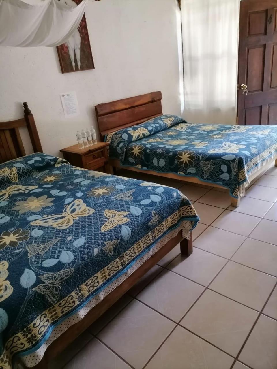 Quadruple Room photo 1