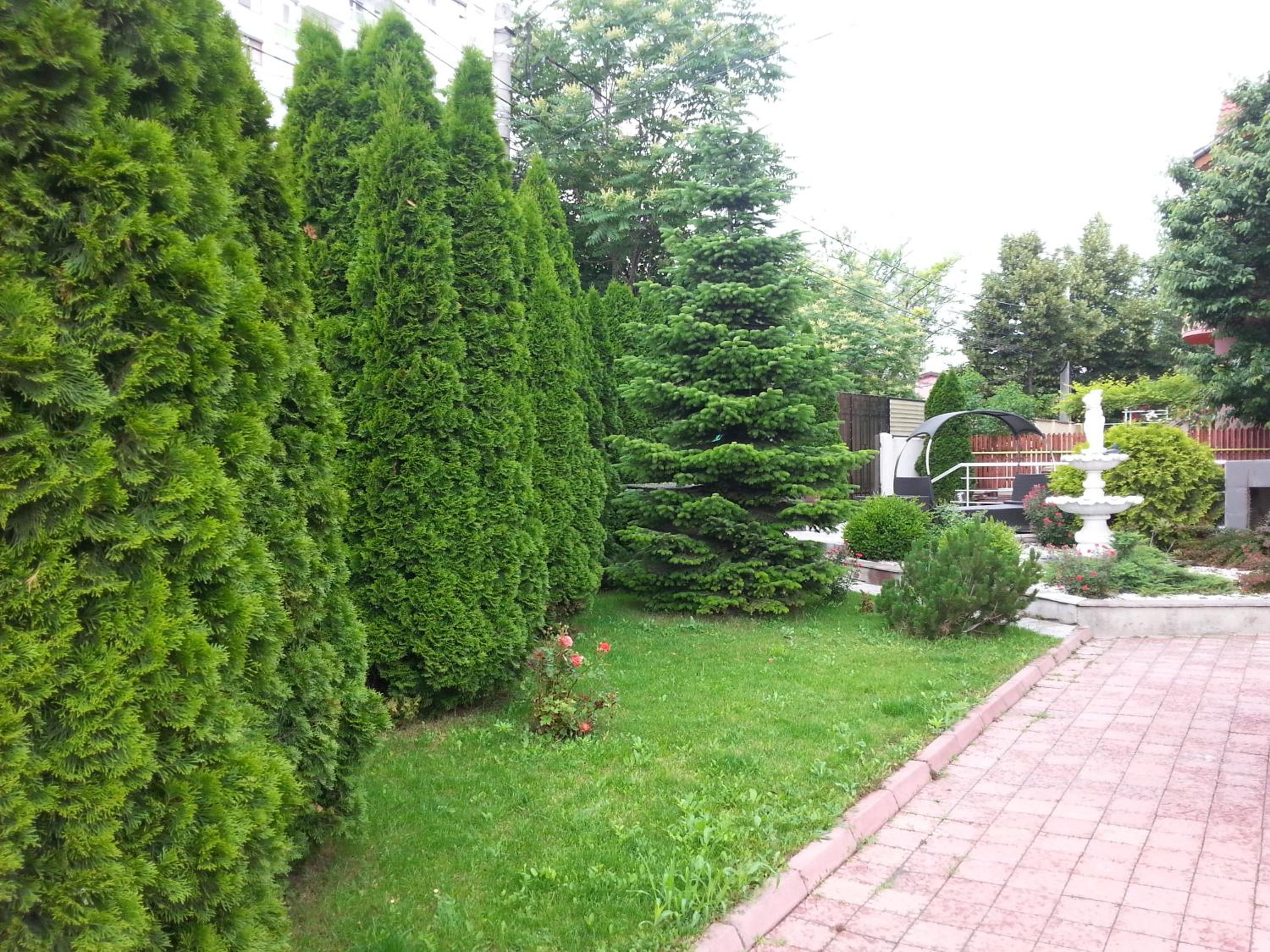 One-Bedroom Apartment with Balcony - Photo 22