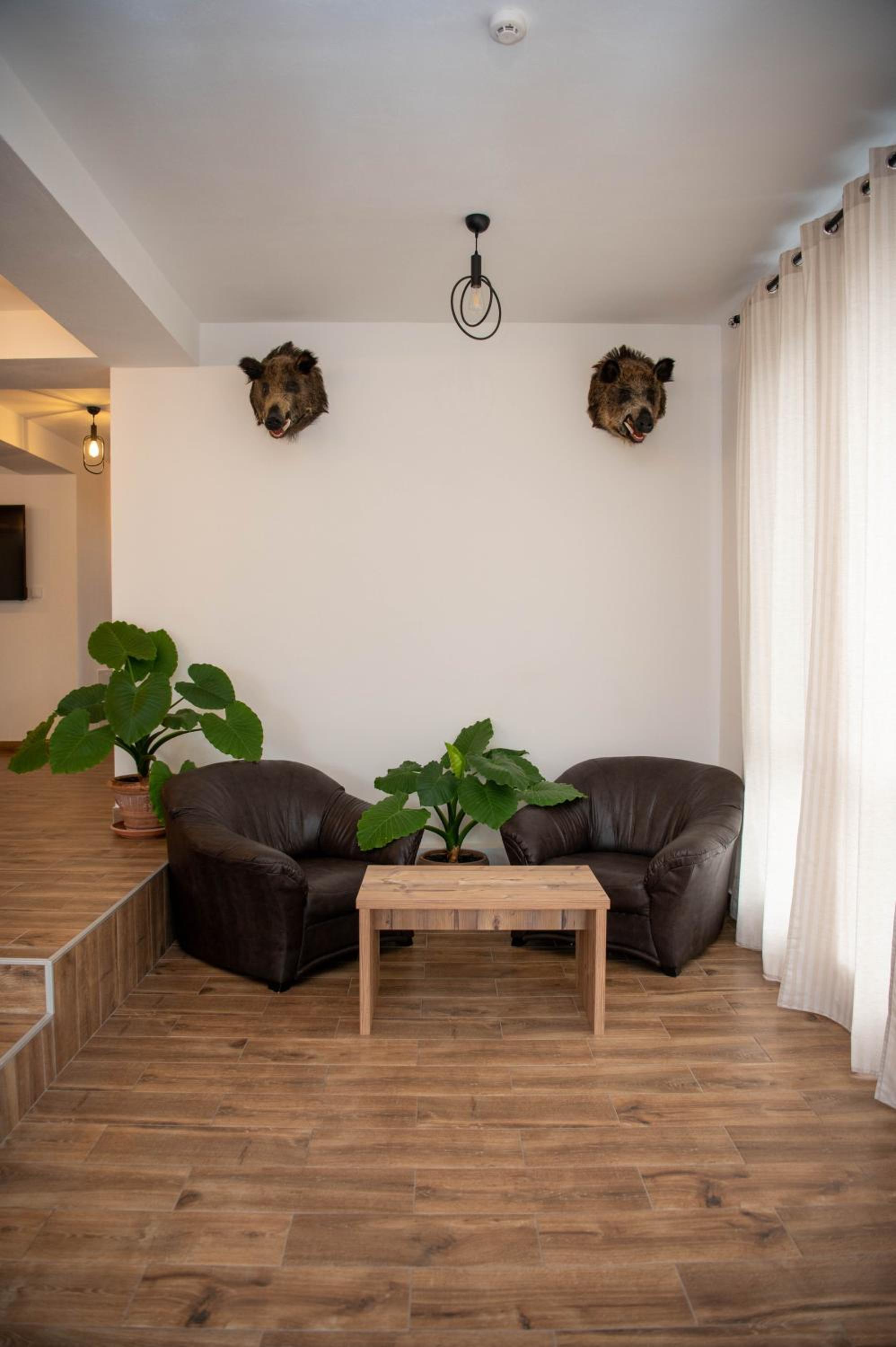 Villa photo 2