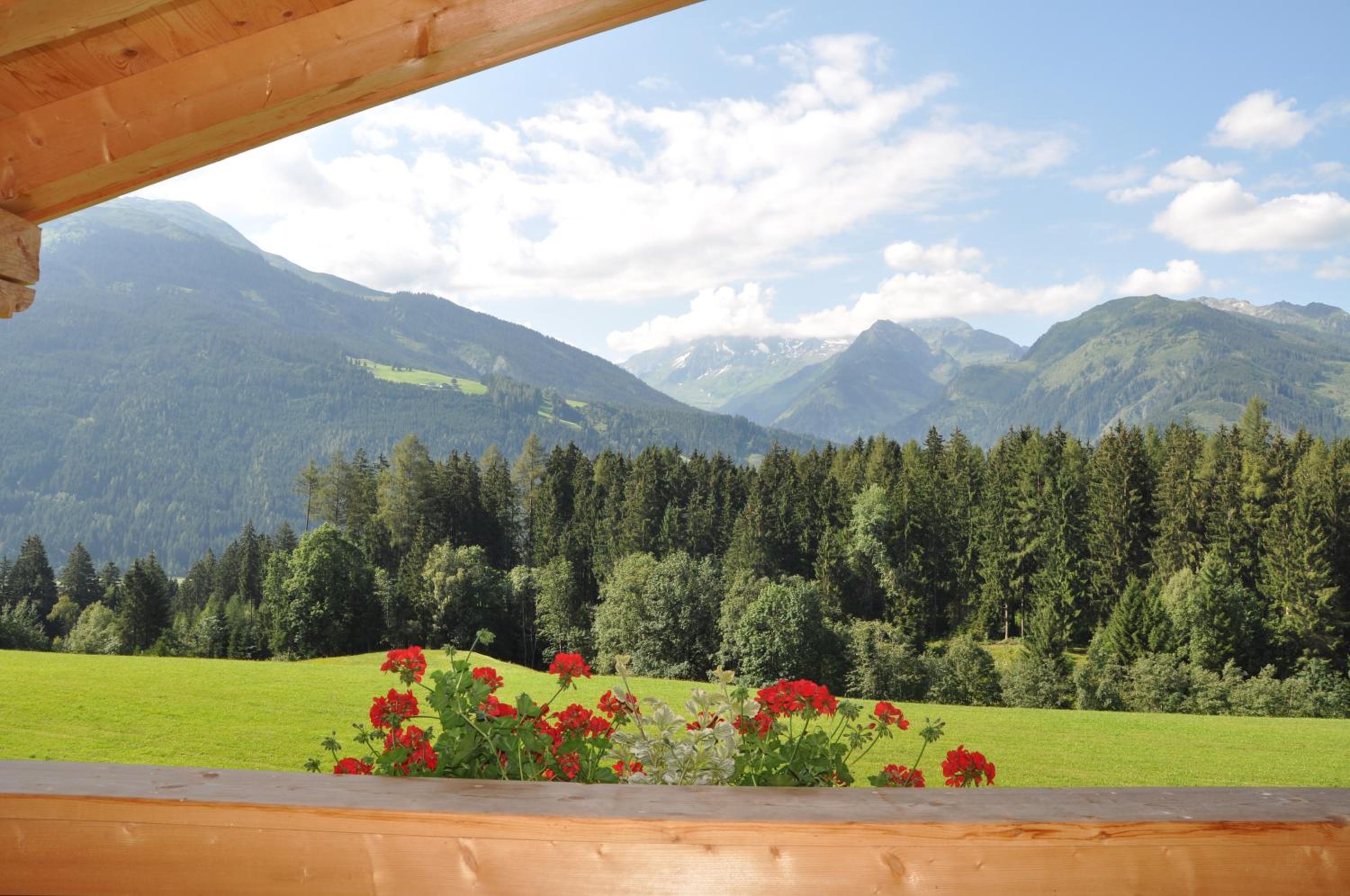 Apartment with Mountain View photo 2
