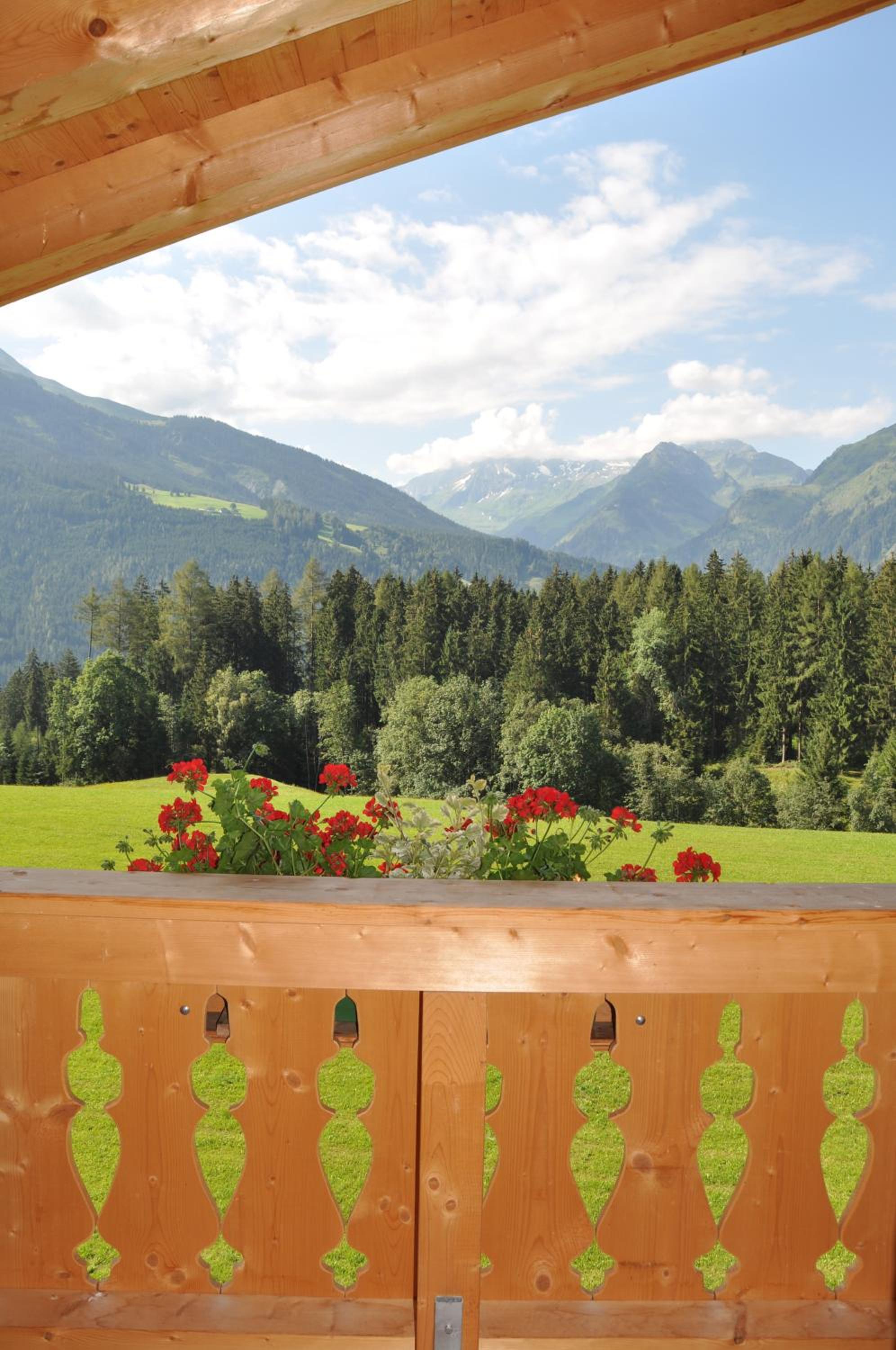 Apartment with Mountain View photo 2